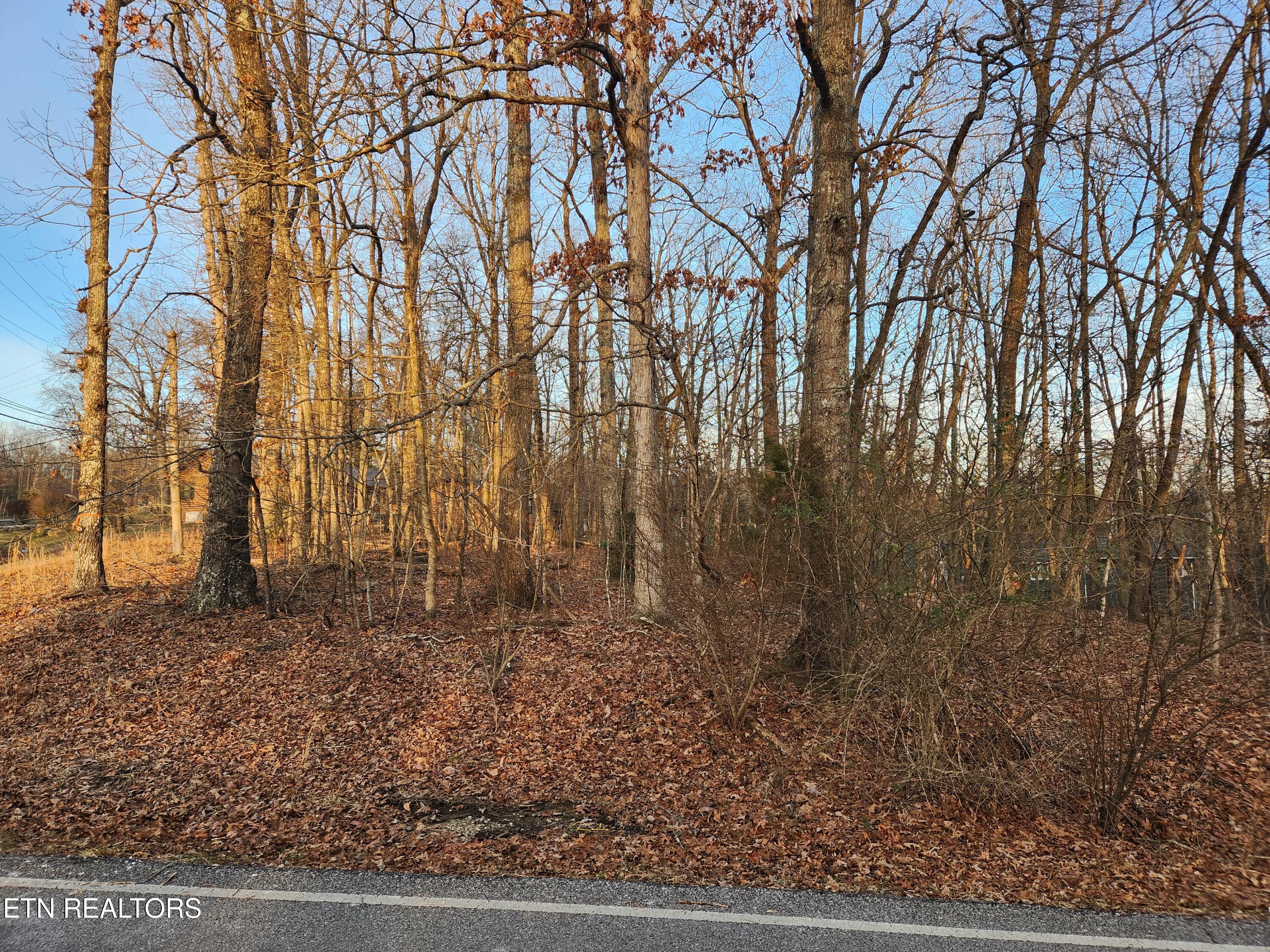 101 Ivy Brook Lane Crossville TN 38558