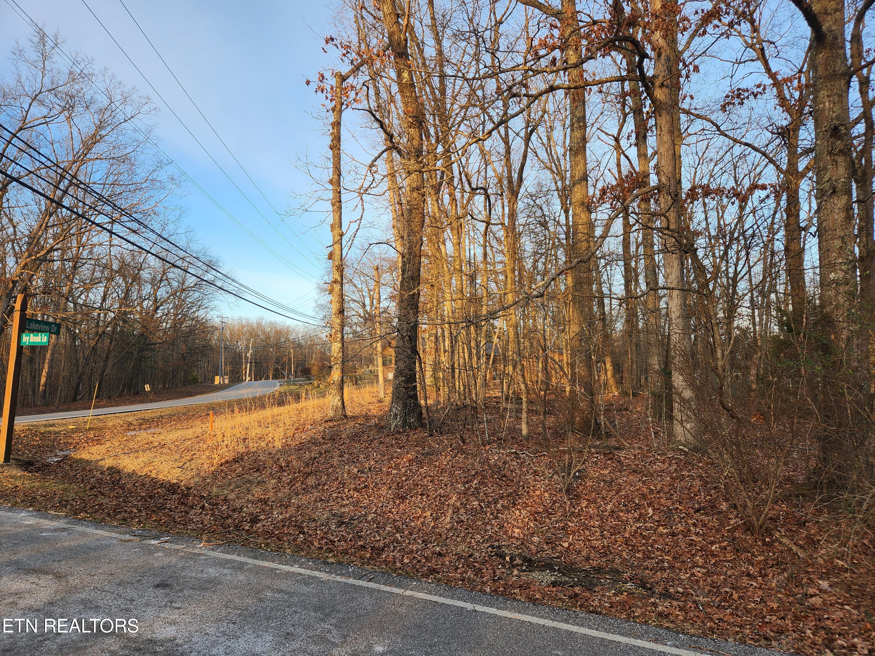 101 Ivy Brook Lane Crossville TN 38558