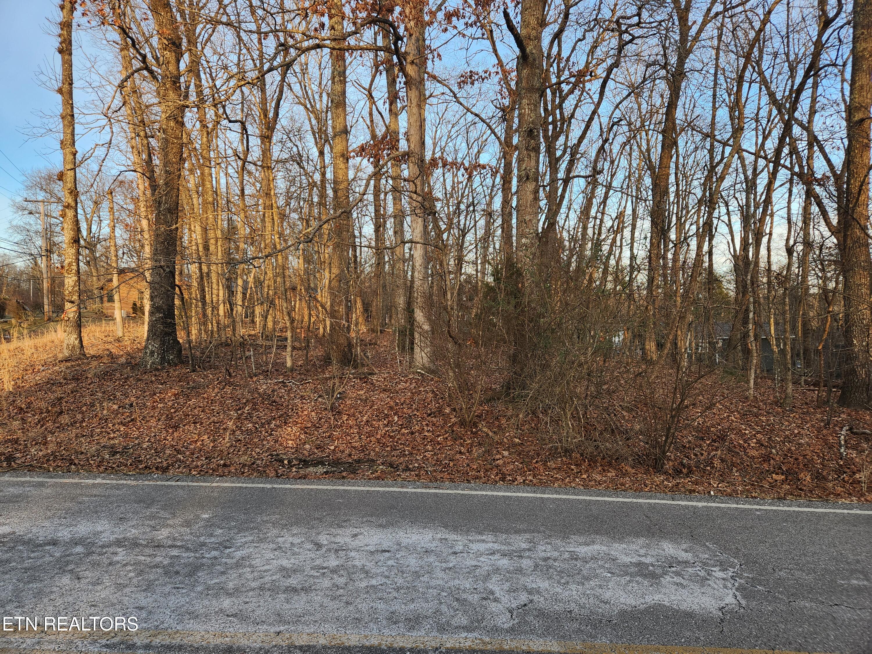 101 Ivy Brook Lane Crossville TN 38558