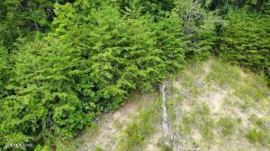Emerald Pointe Boulevard Sevierville TN 37876