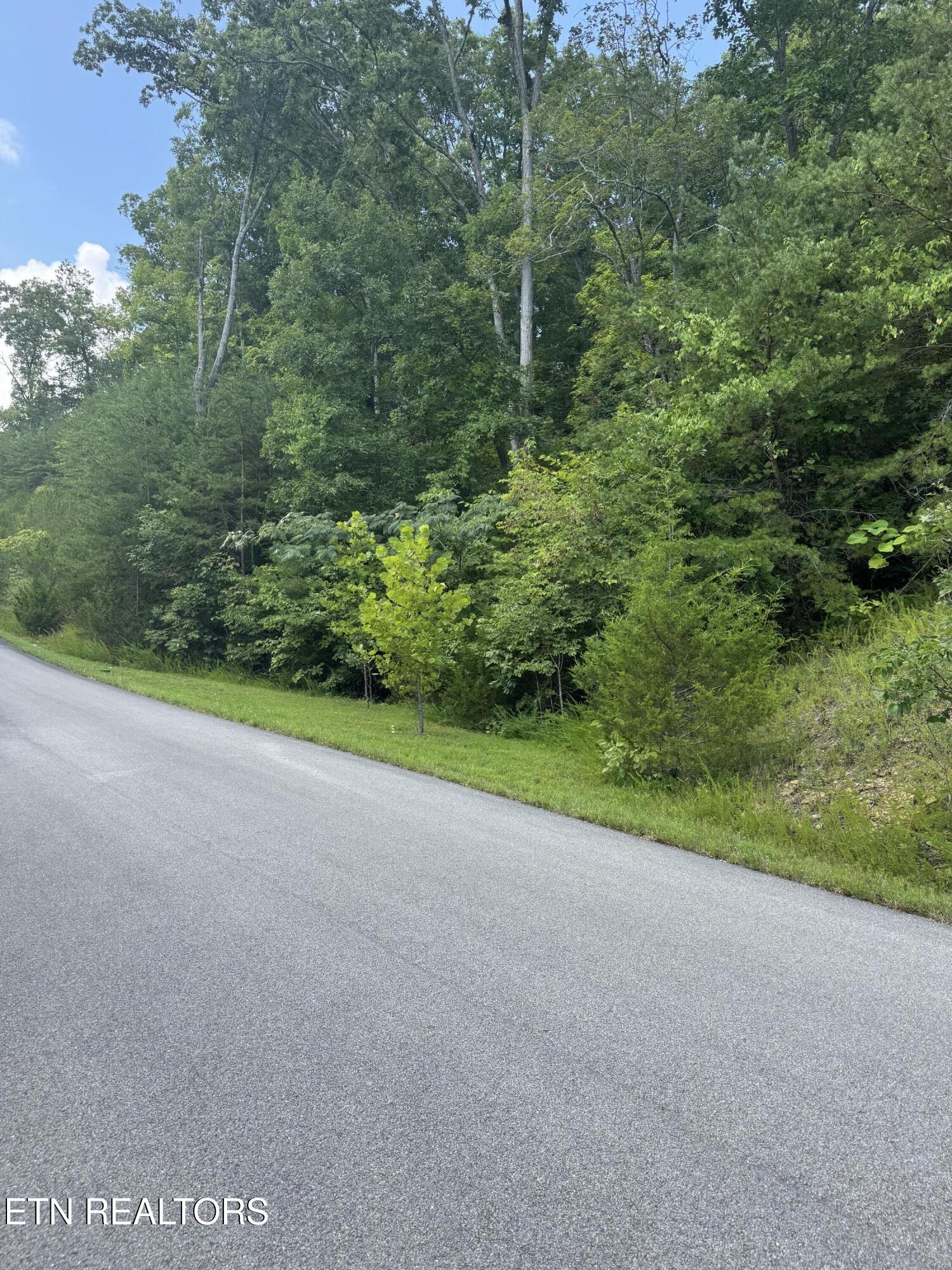 Emerald Pointe Boulevard Sevierville TN 37876