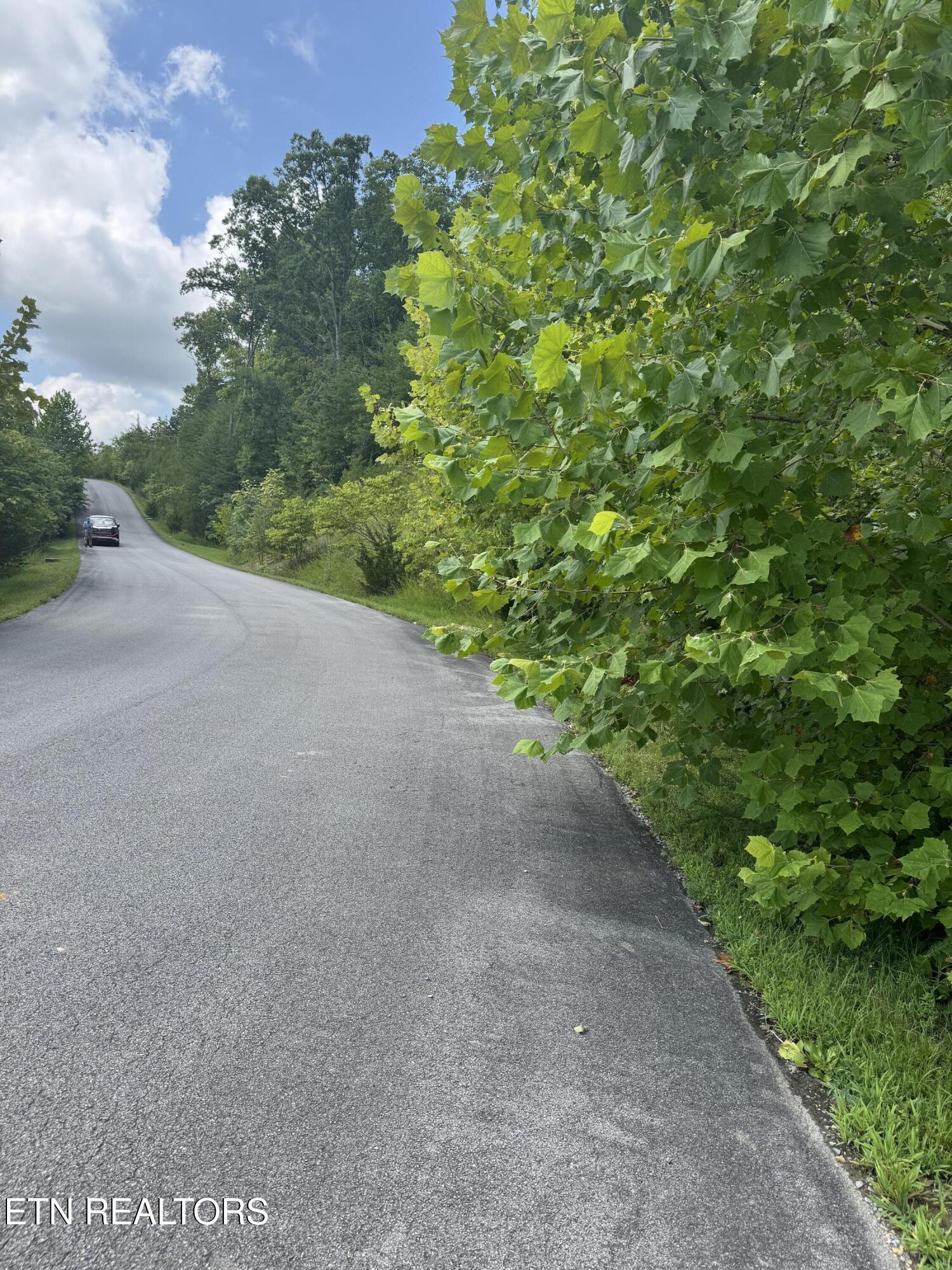 Emerald Pointe Boulevard Sevierville TN 37876