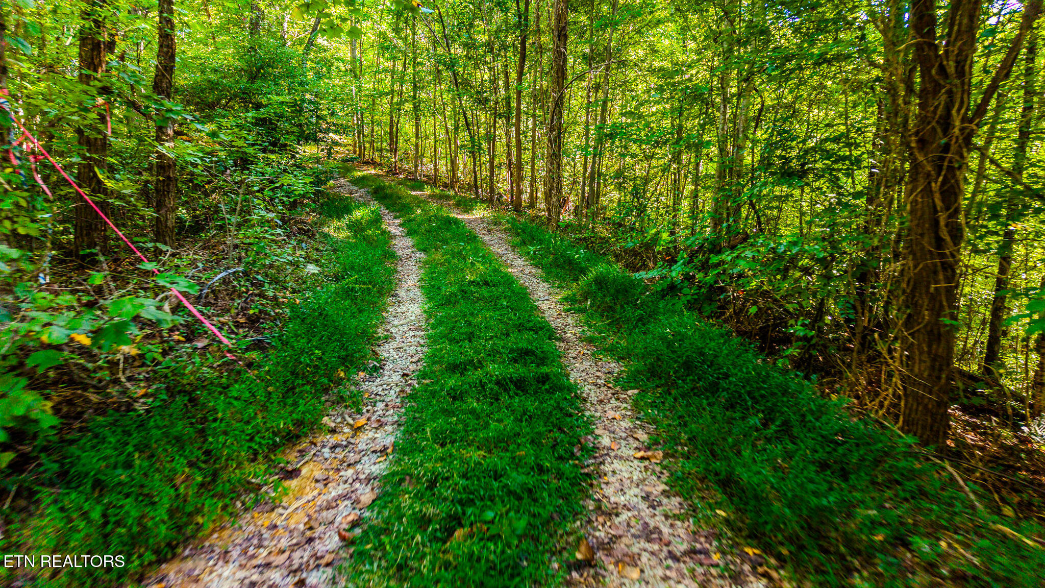 429 King Branch Road Sevierville TN 37876