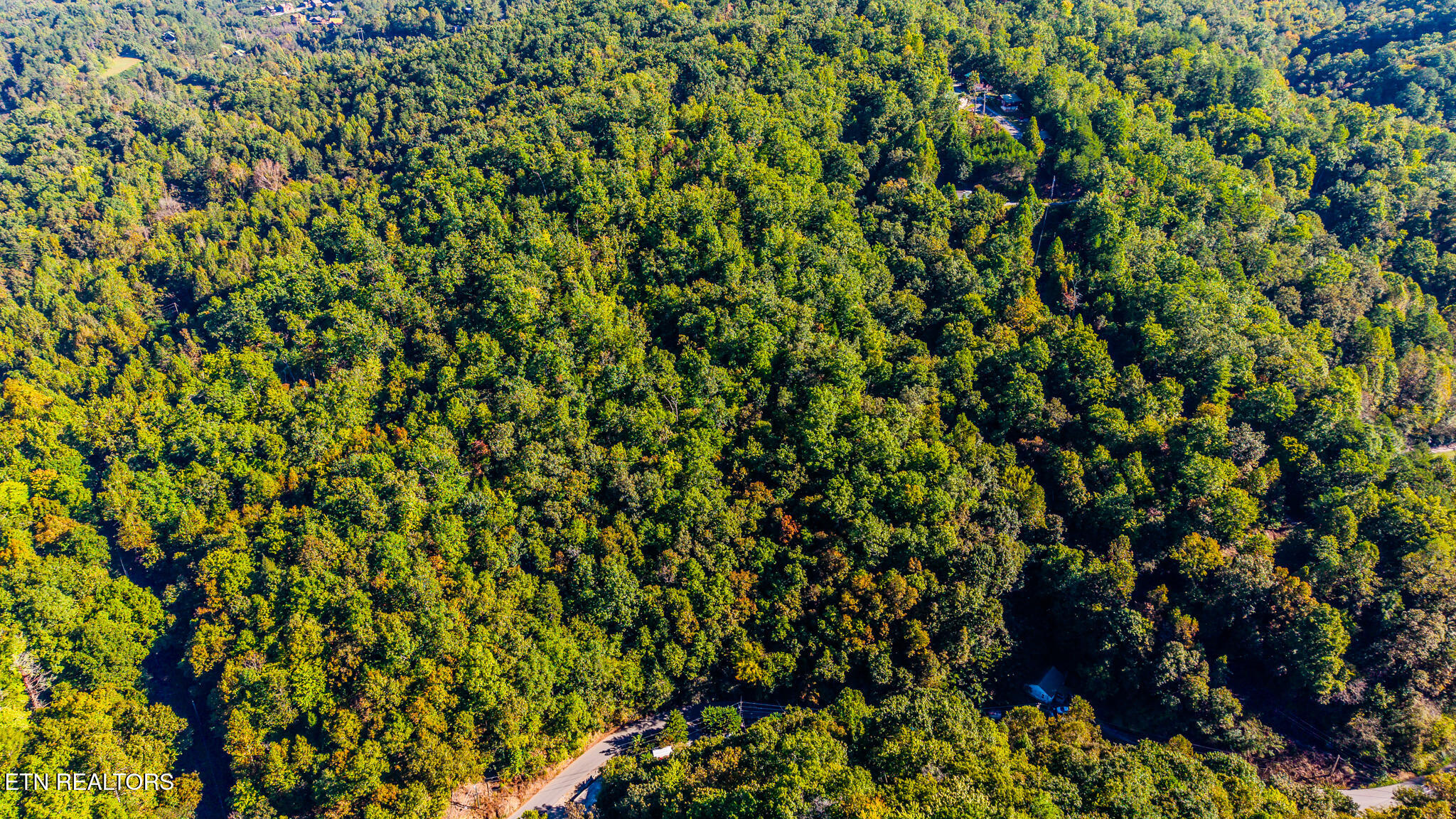 429 King Branch Road Sevierville TN 37876