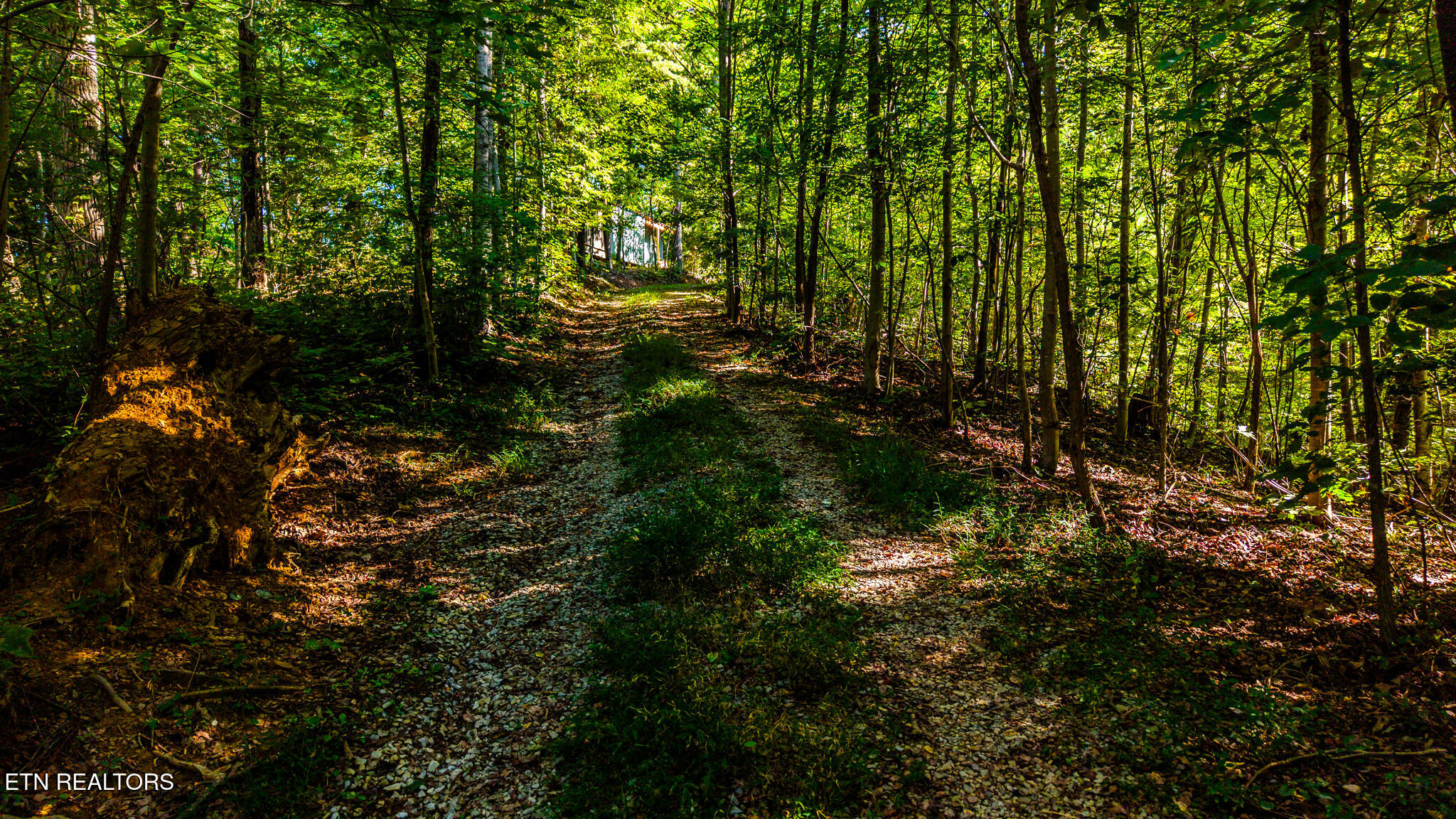 429 King Branch Road Sevierville TN 37876