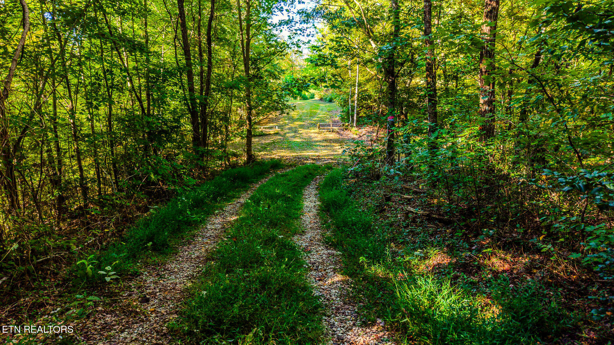 429 King Branch Road Sevierville TN 37876