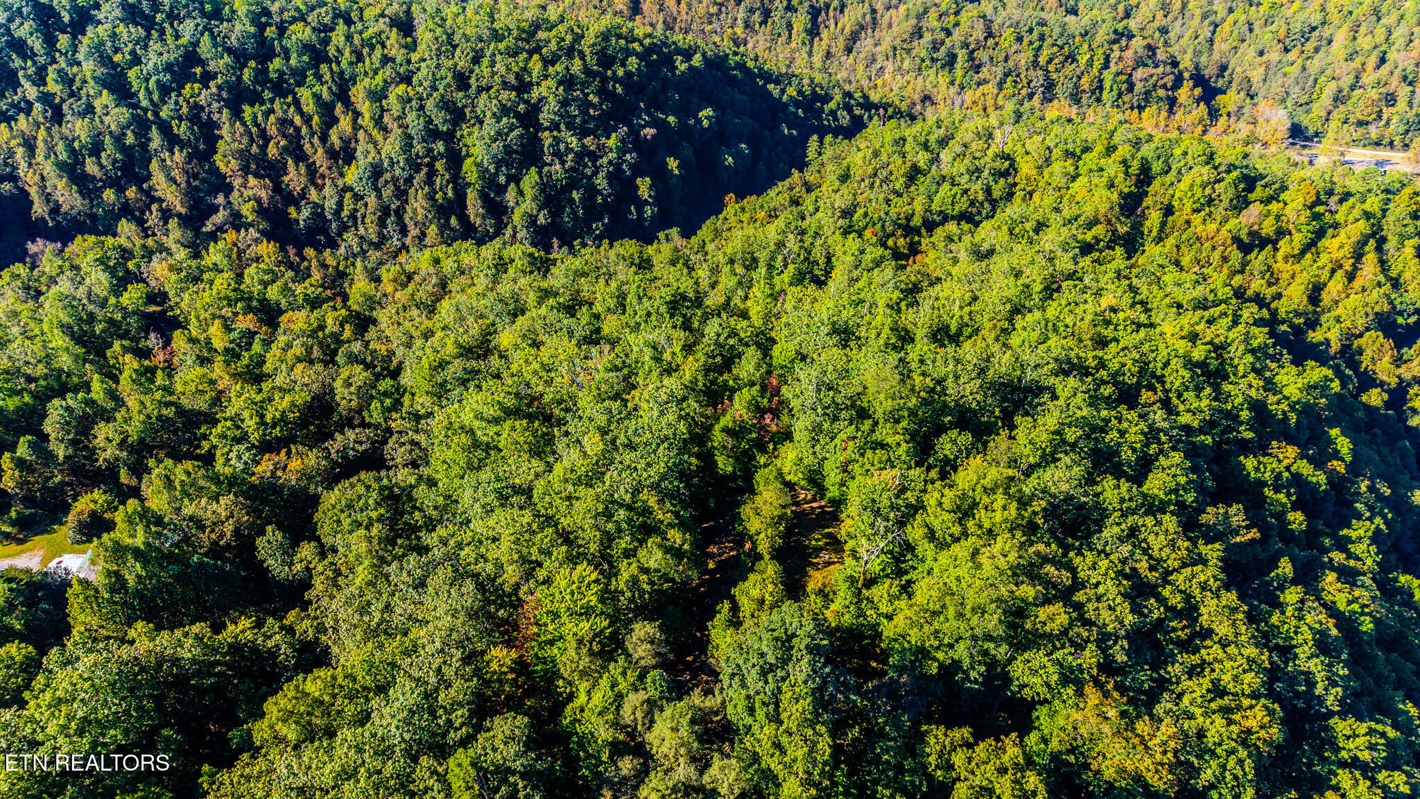 429 King Branch Road Sevierville TN 37876