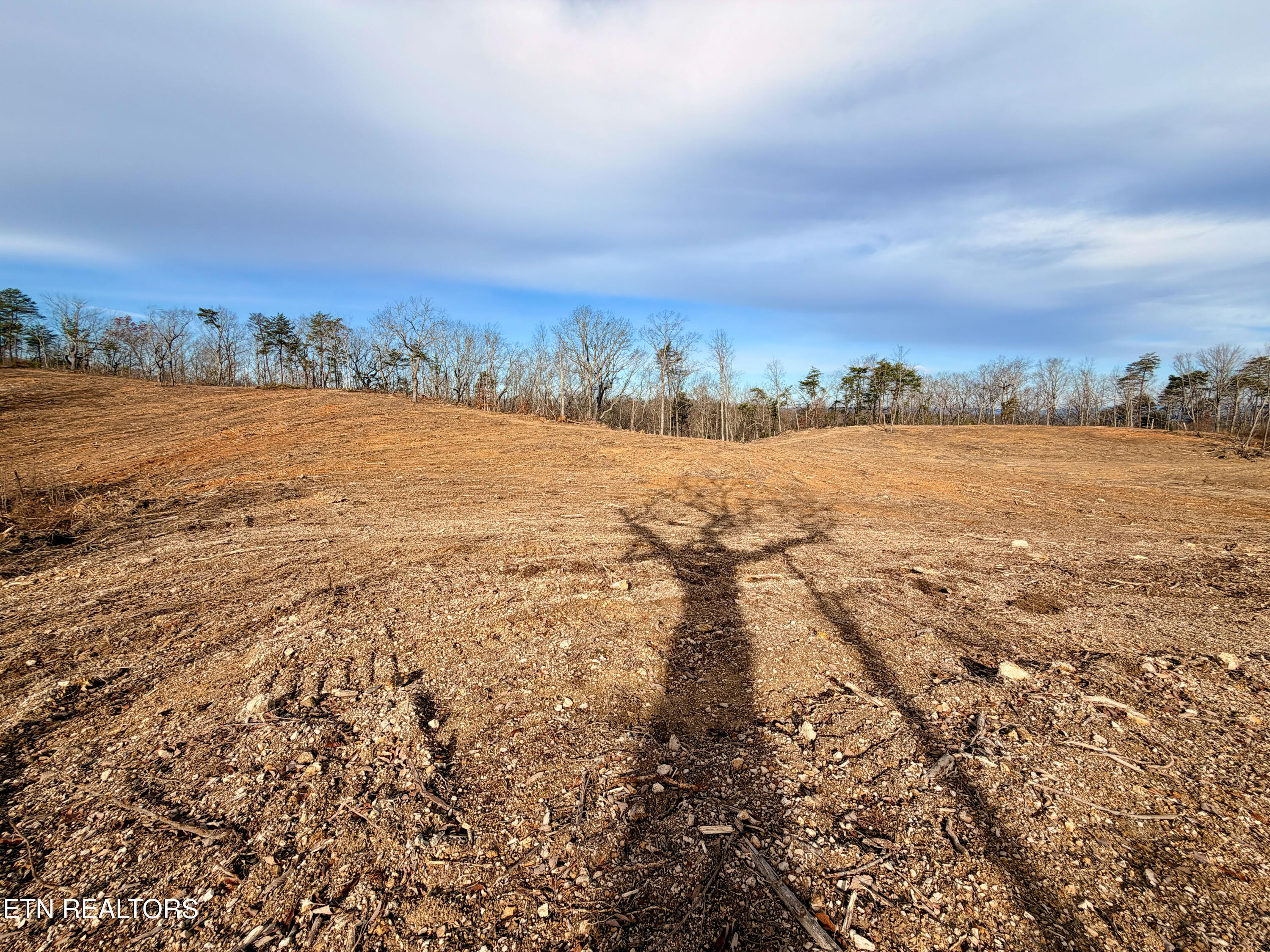 Laurel Bluff Road Kingston TN 37763