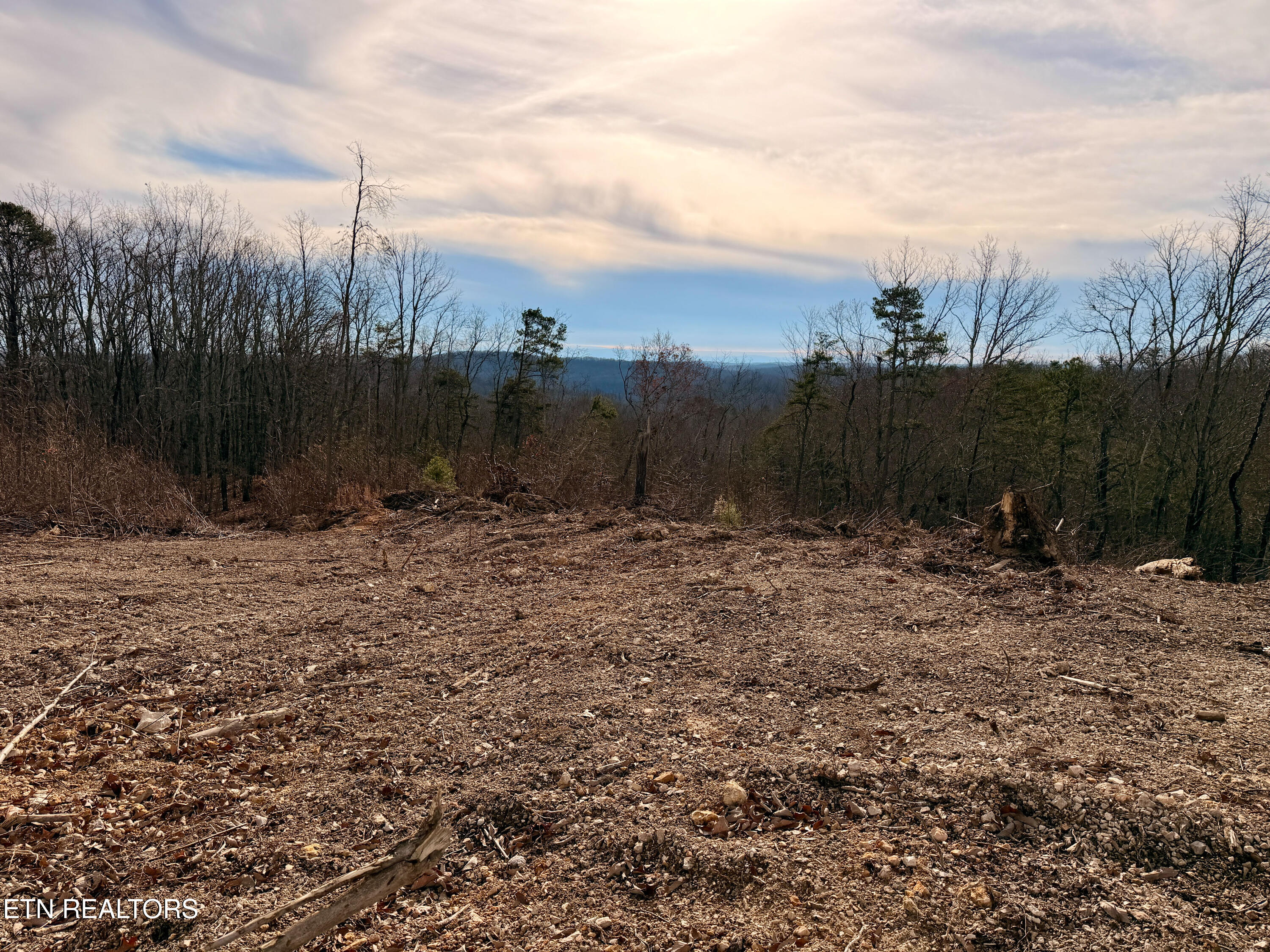 Laurel Bluff Road Kingston TN 37763