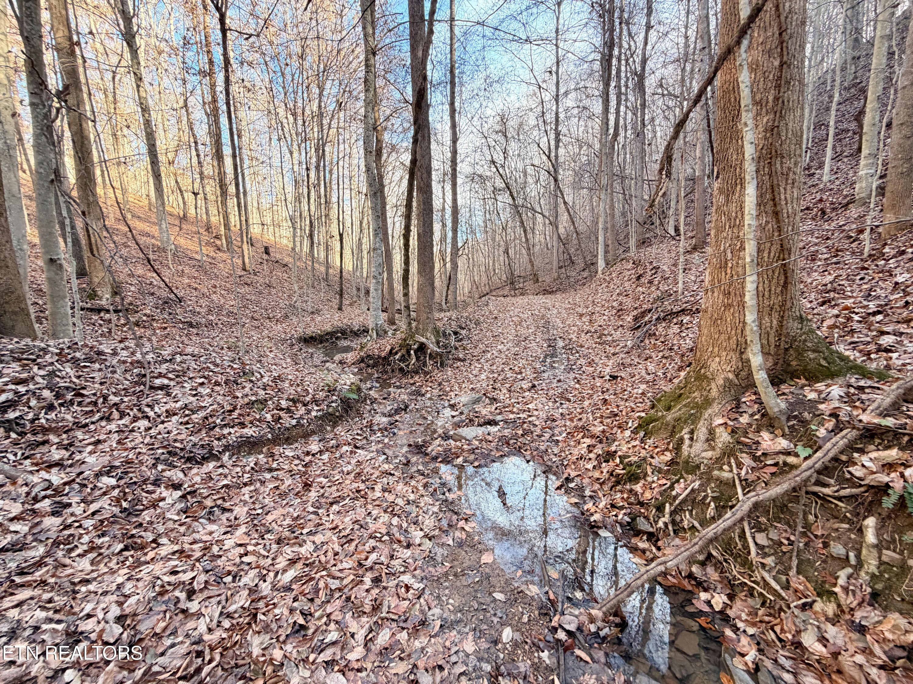 Laurel Bluff Road Kingston TN 37763