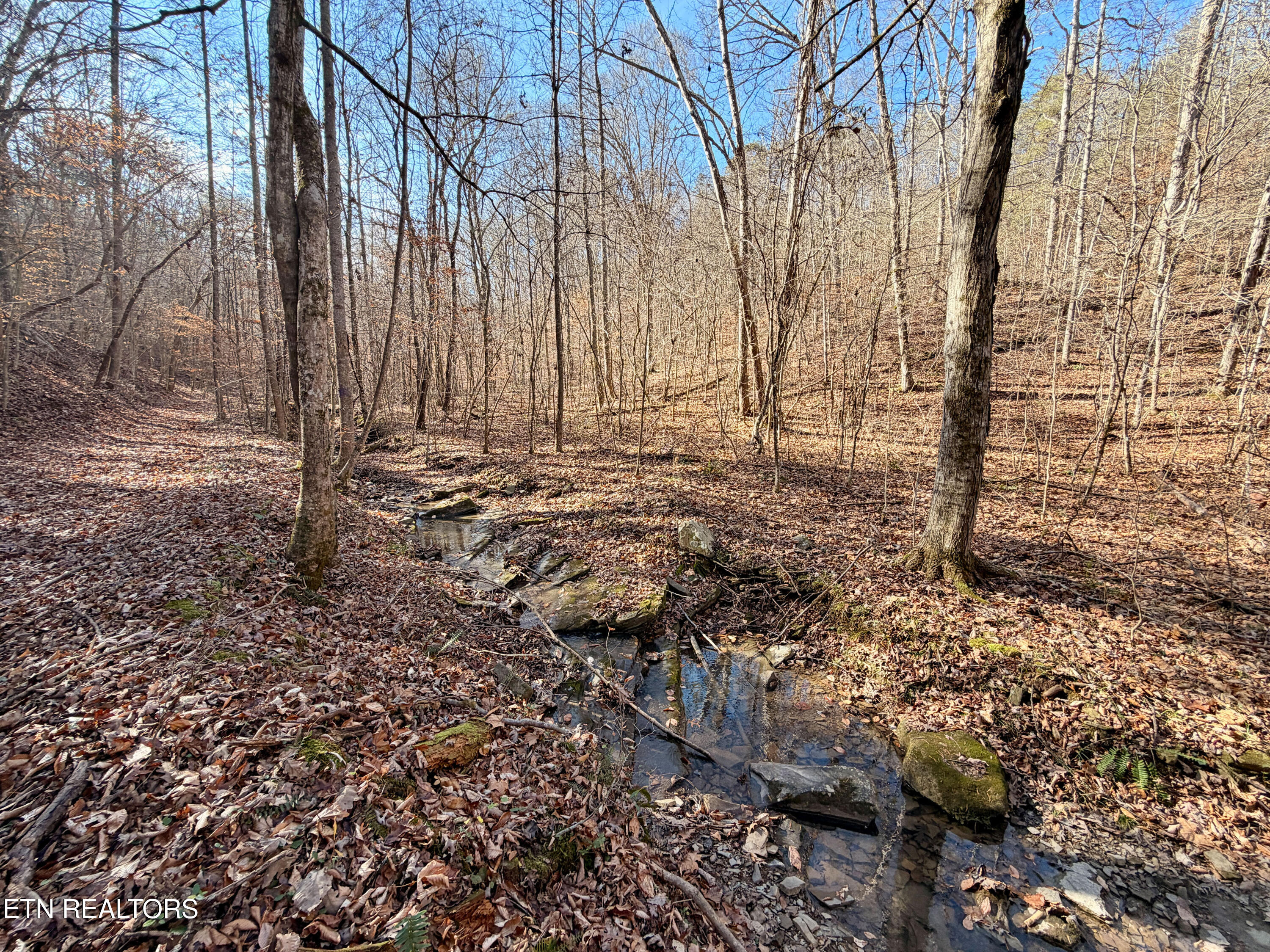 Laurel Bluff Road Kingston TN 37763