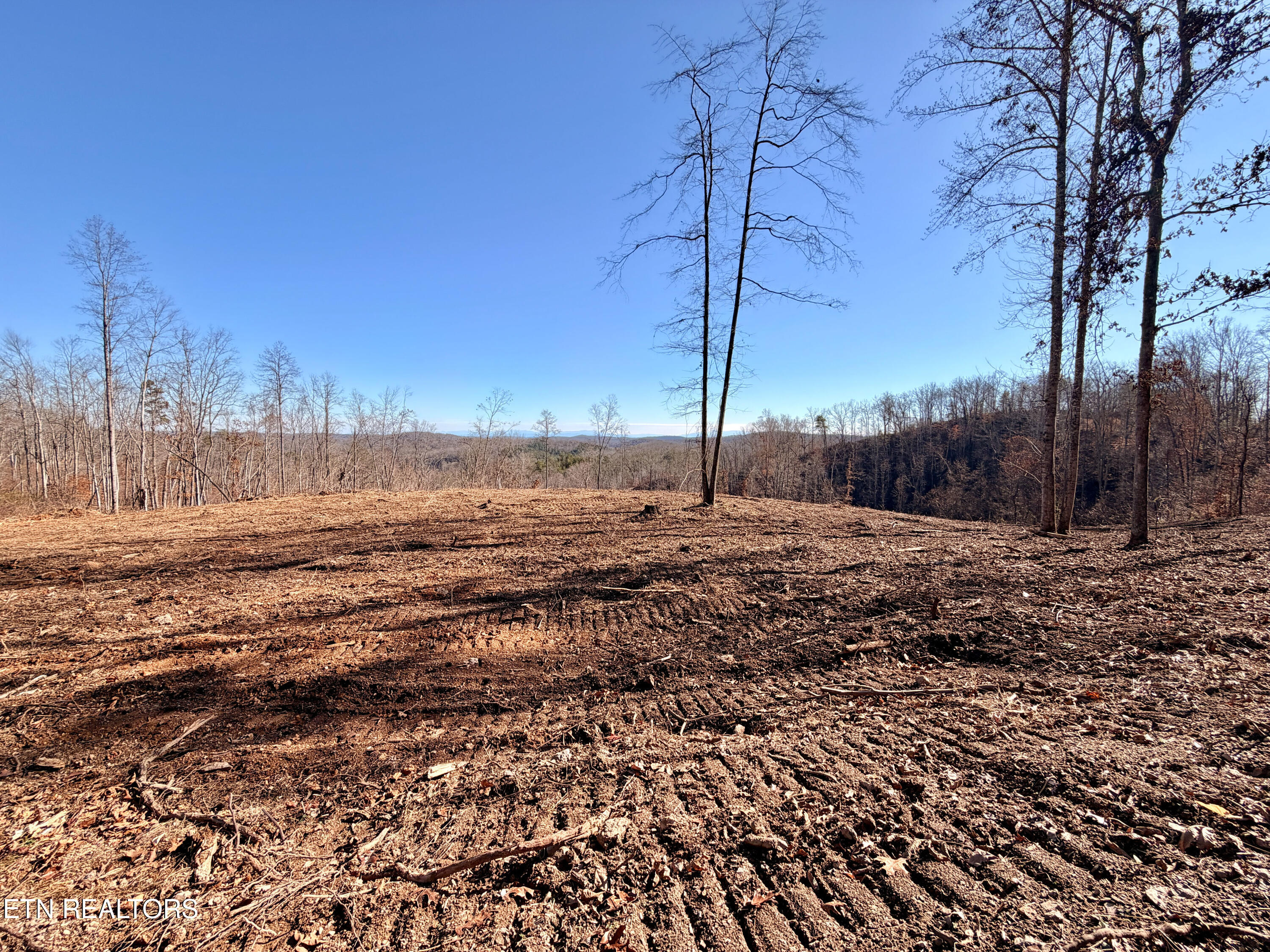Laurel Bluff Road Kingston TN 37763