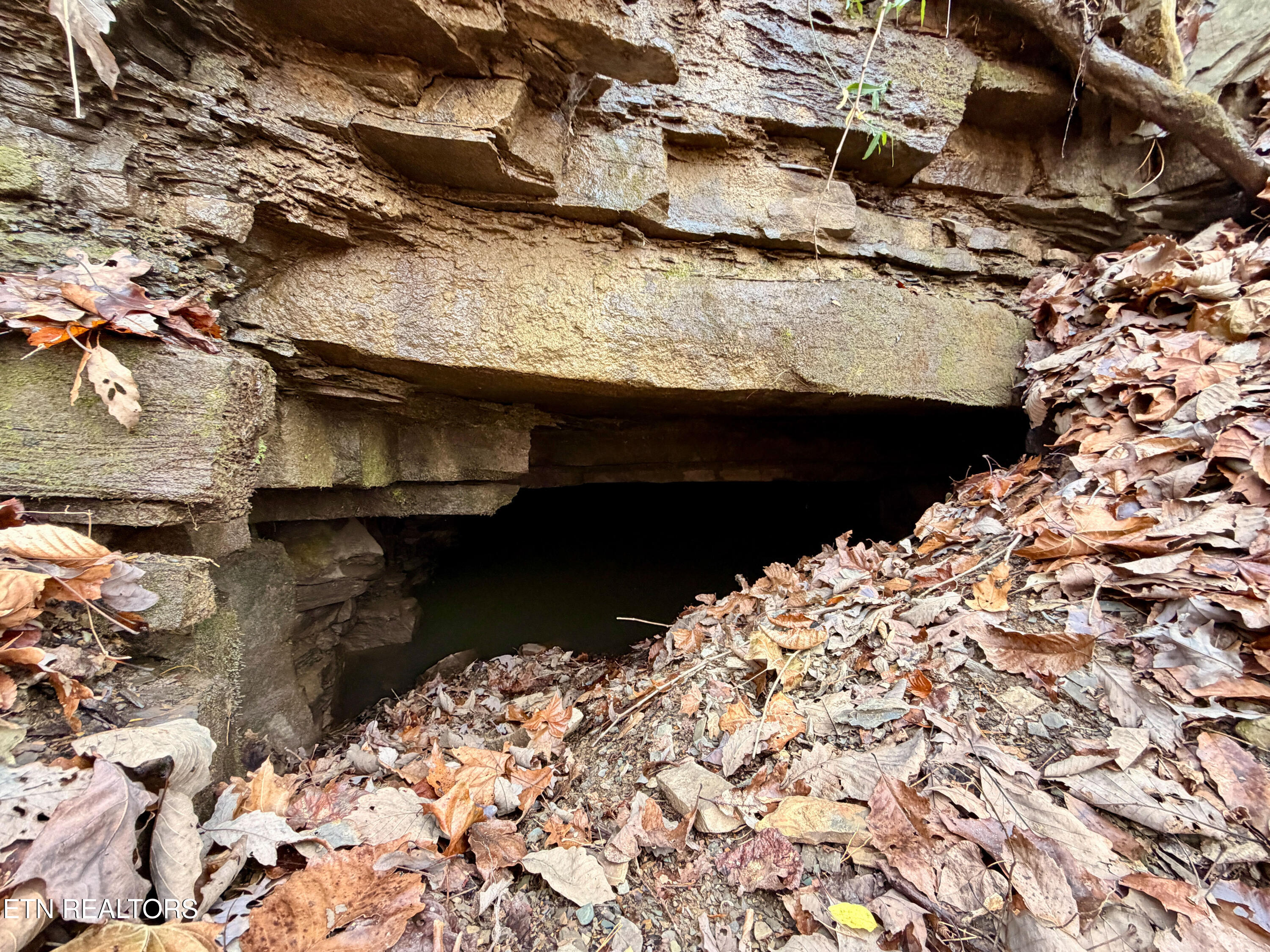 Laurel Bluff Road Kingston TN 37763
