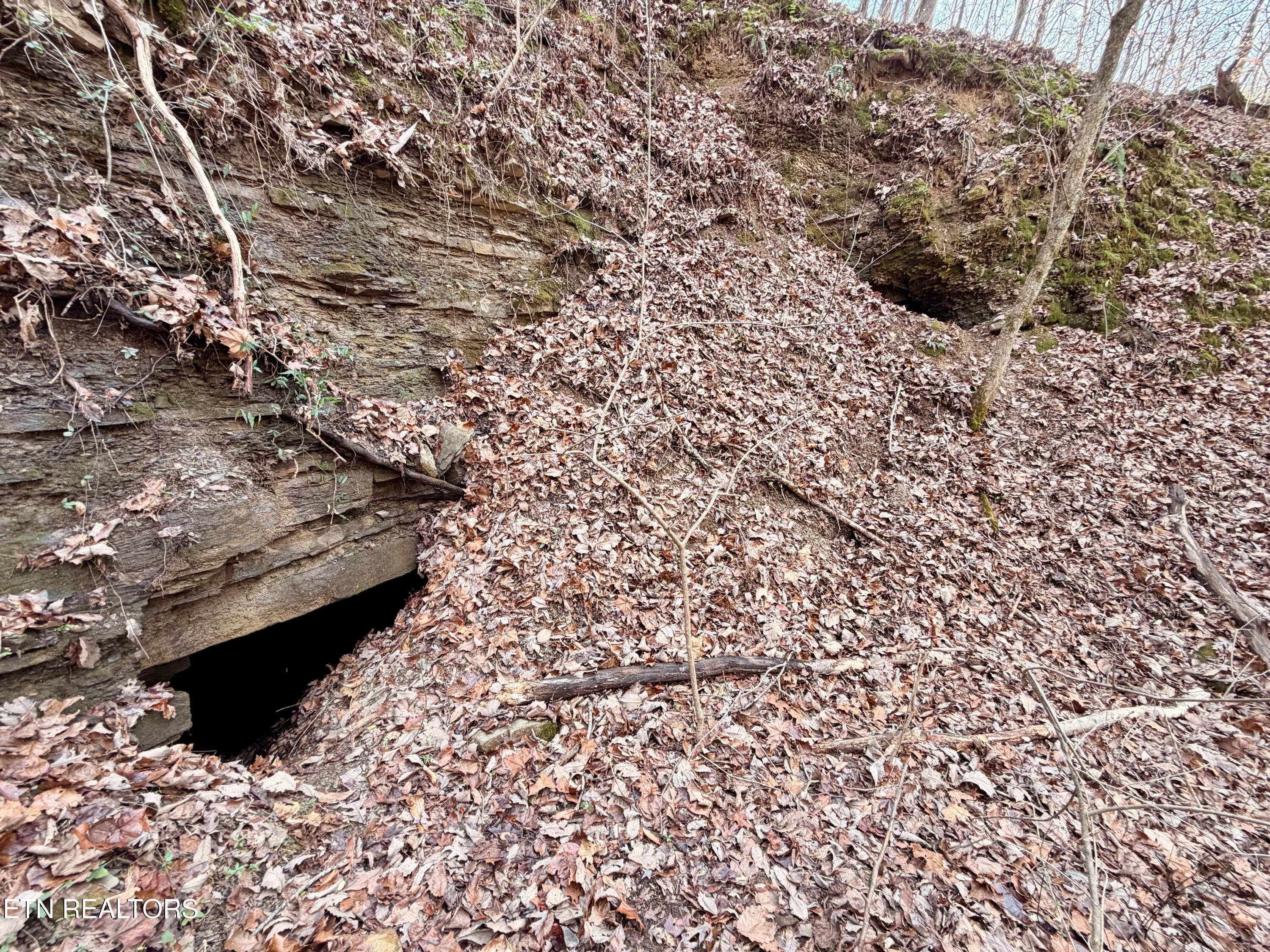 Laurel Bluff Road Kingston TN 37763