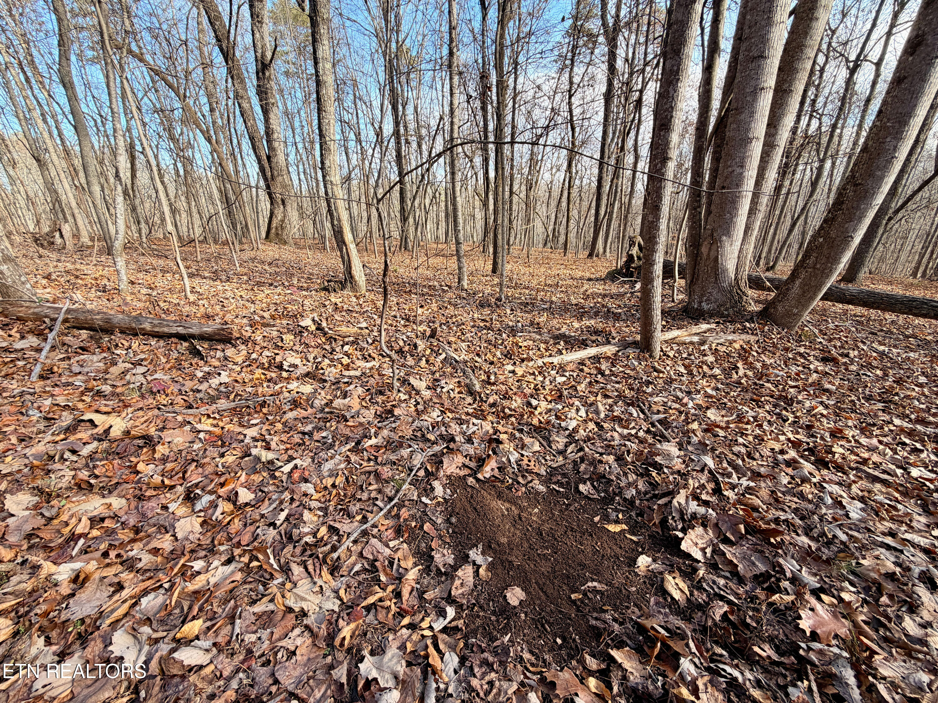 Laurel Bluff Road Kingston TN 37763