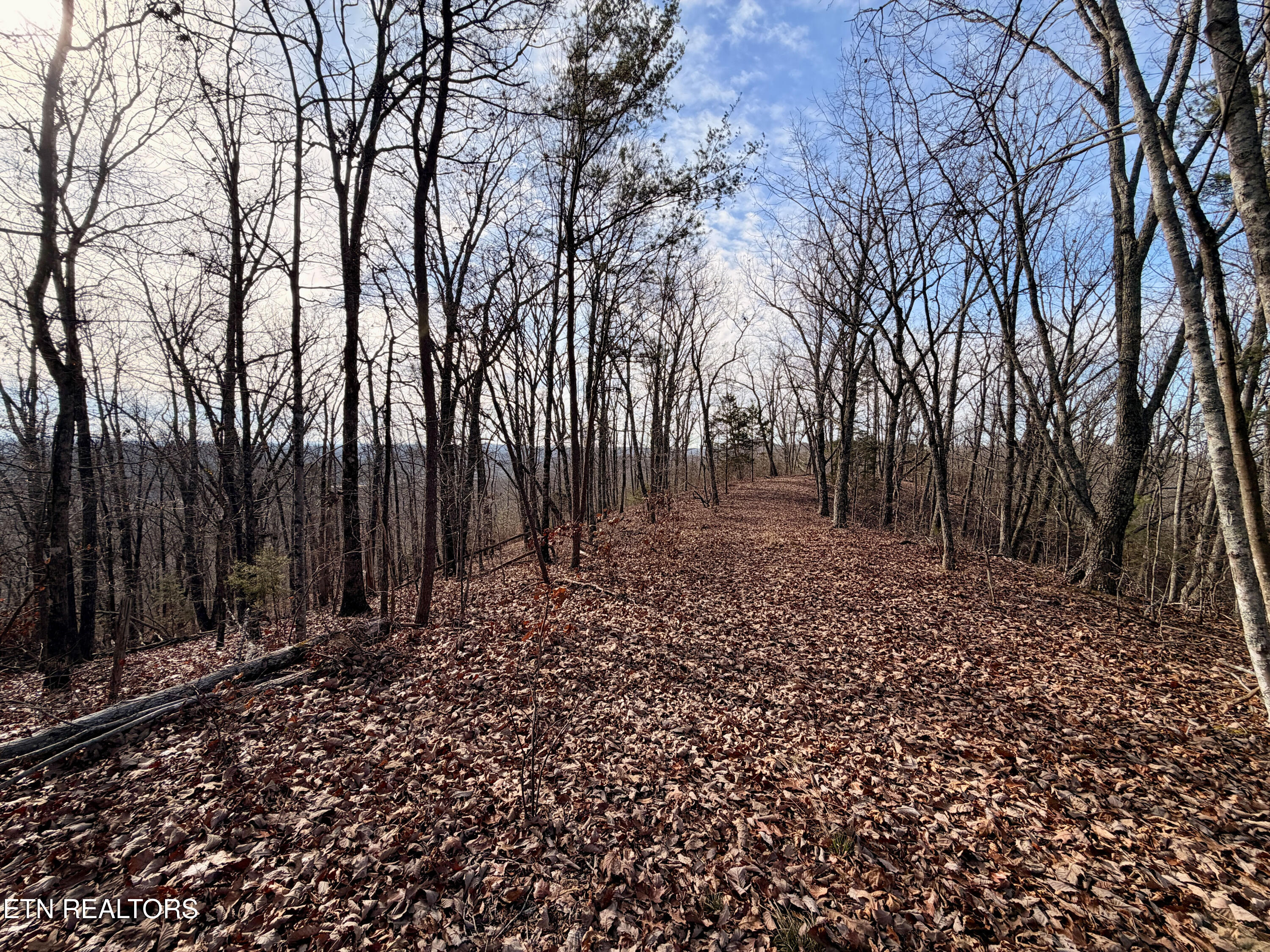 Laurel Bluff Road Kingston TN 37763