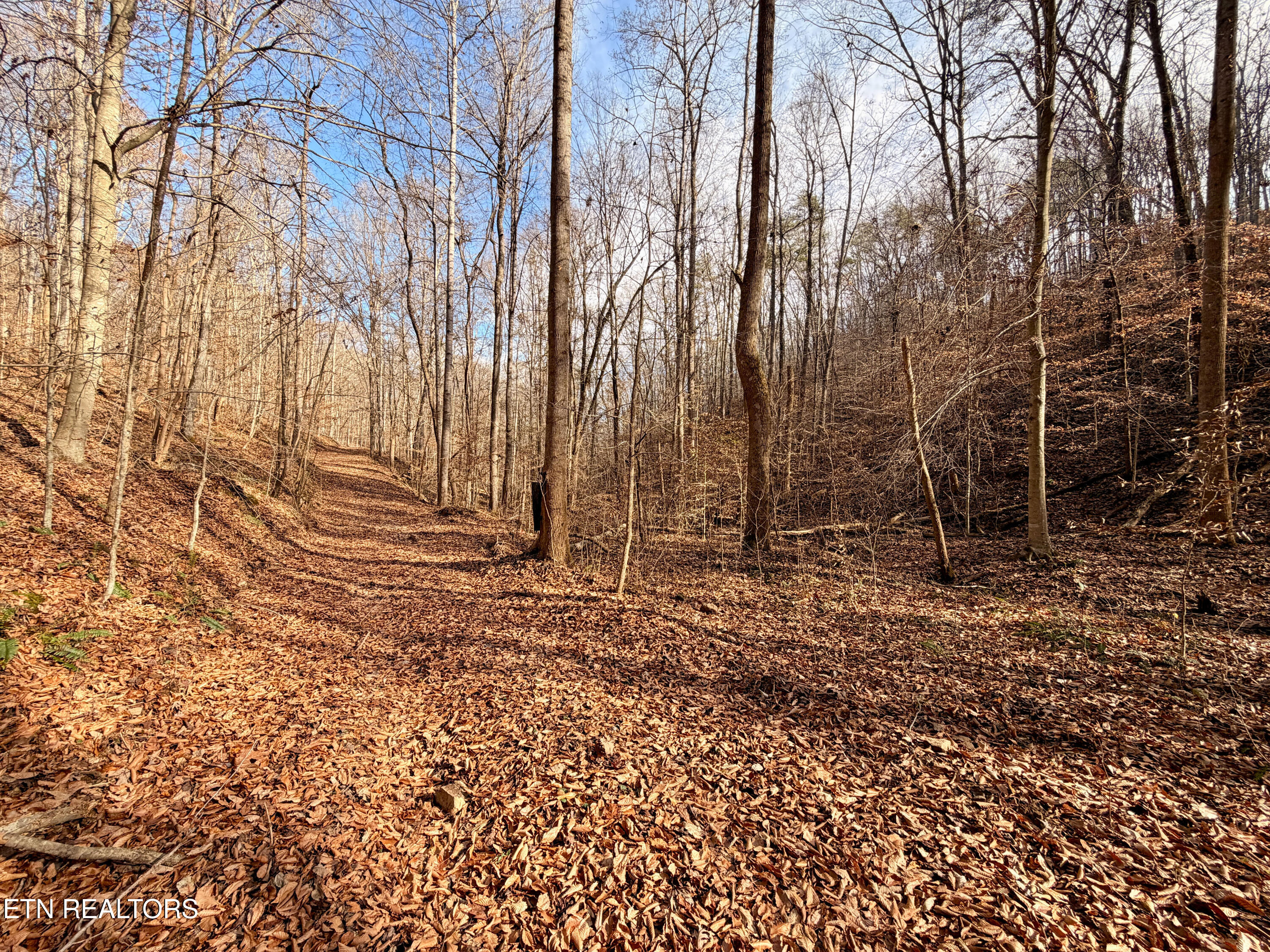 Laurel Bluff Road Kingston TN 37763