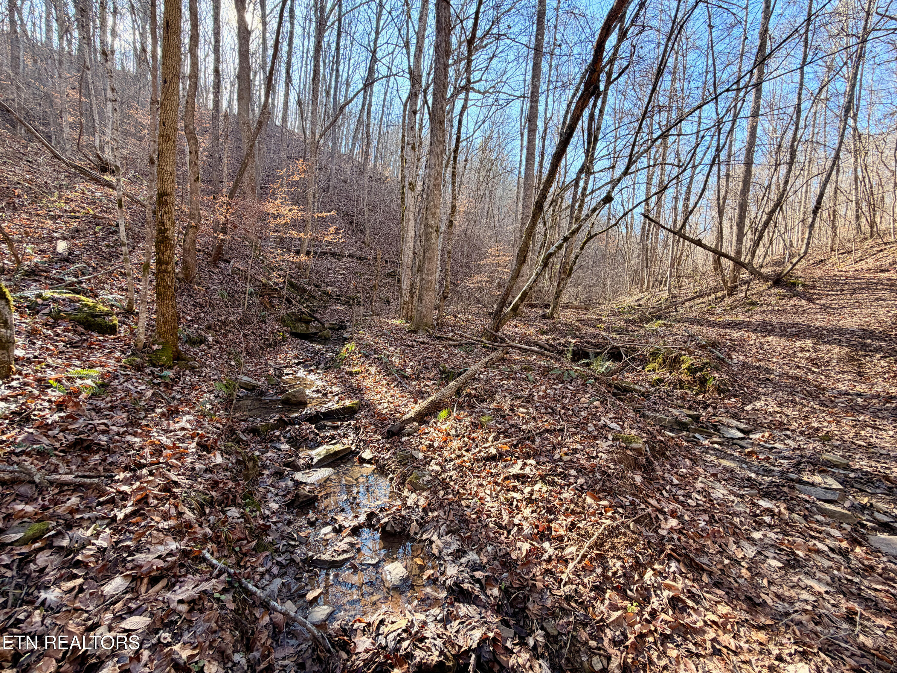 Laurel Bluff Road Kingston TN 37763