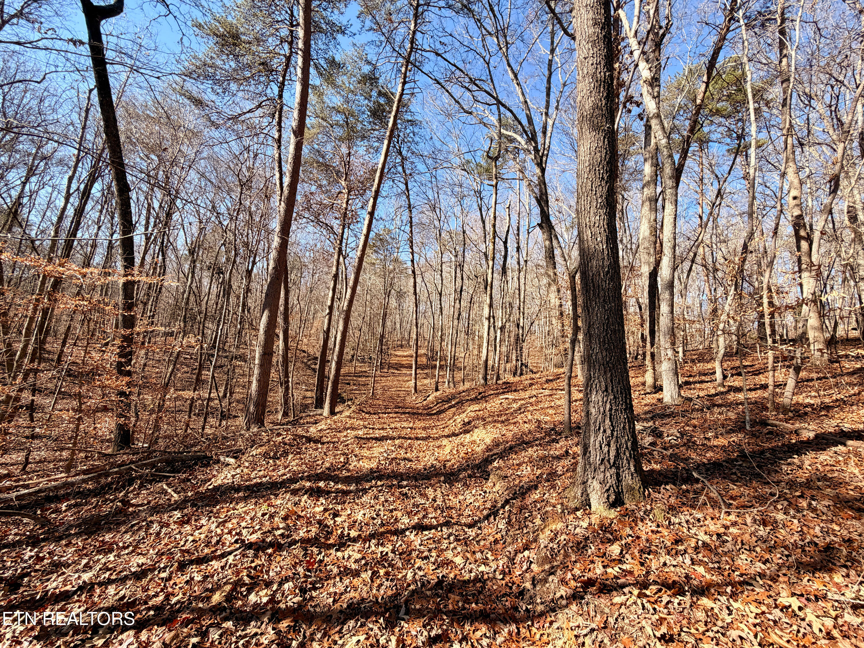 Laurel Bluff Road Kingston TN 37763