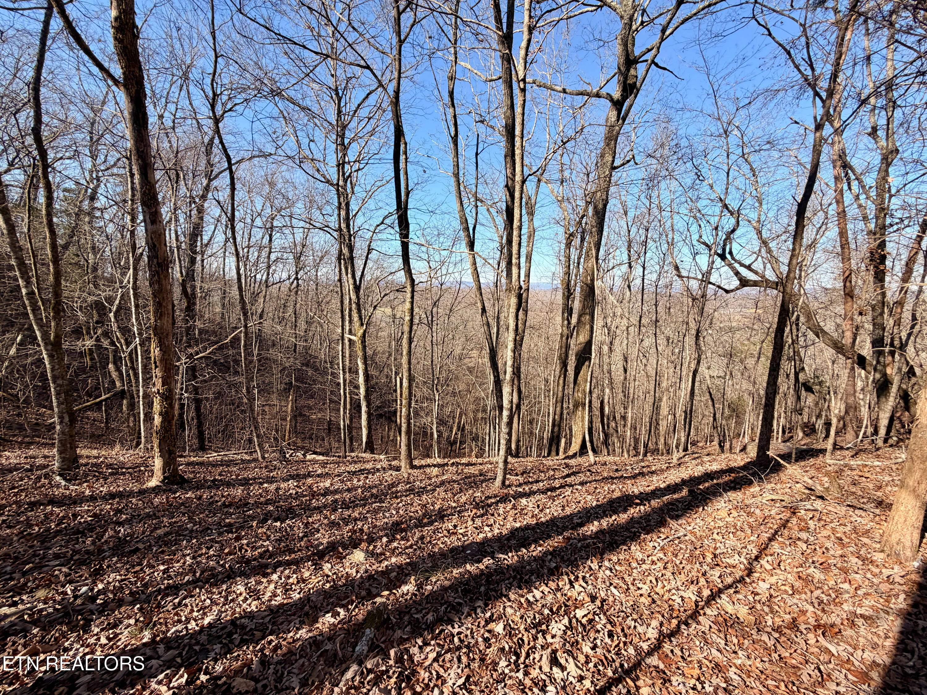 Laurel Bluff Road Kingston TN 37763