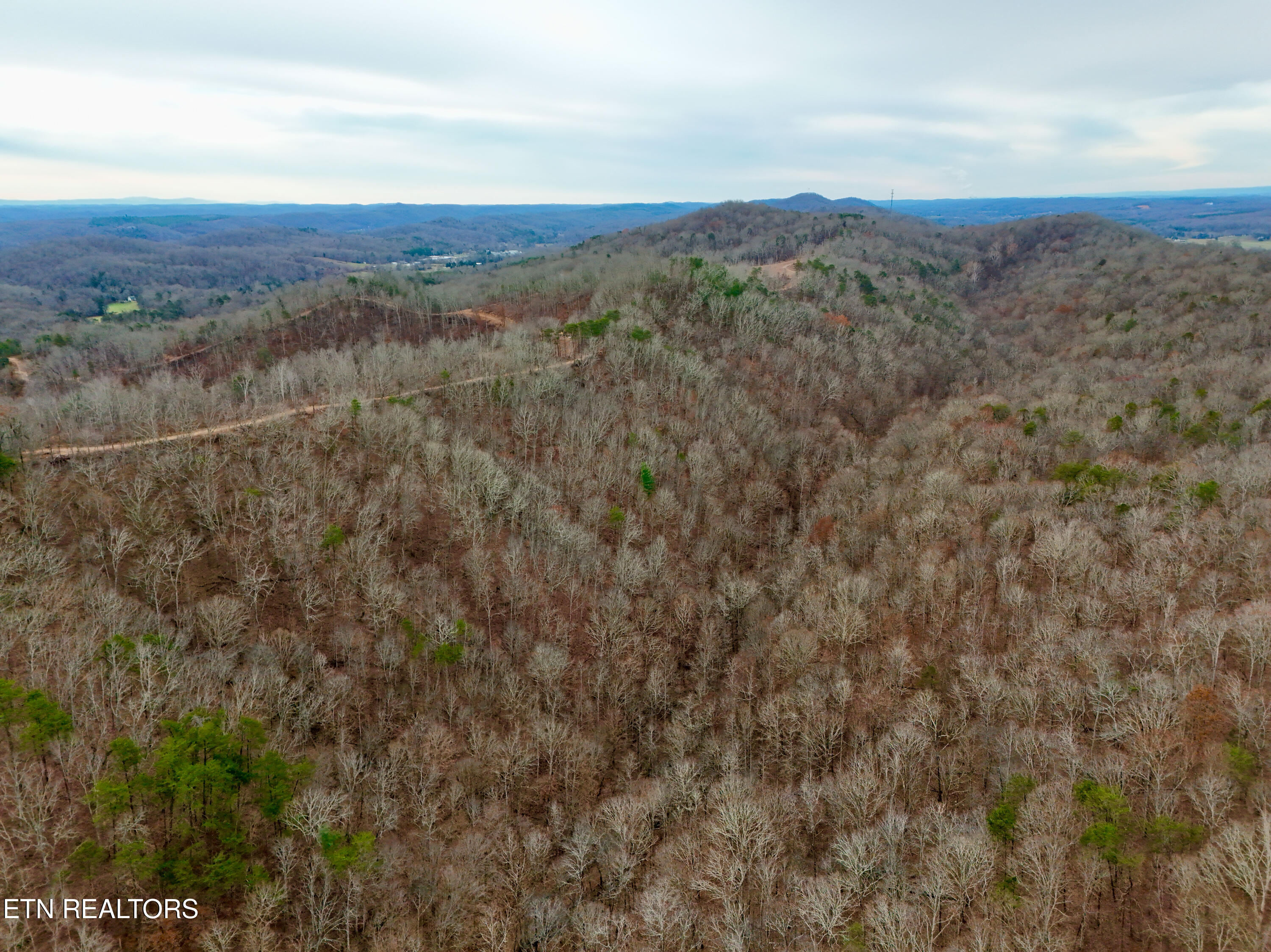 Laurel Bluff Road Kingston TN 37763