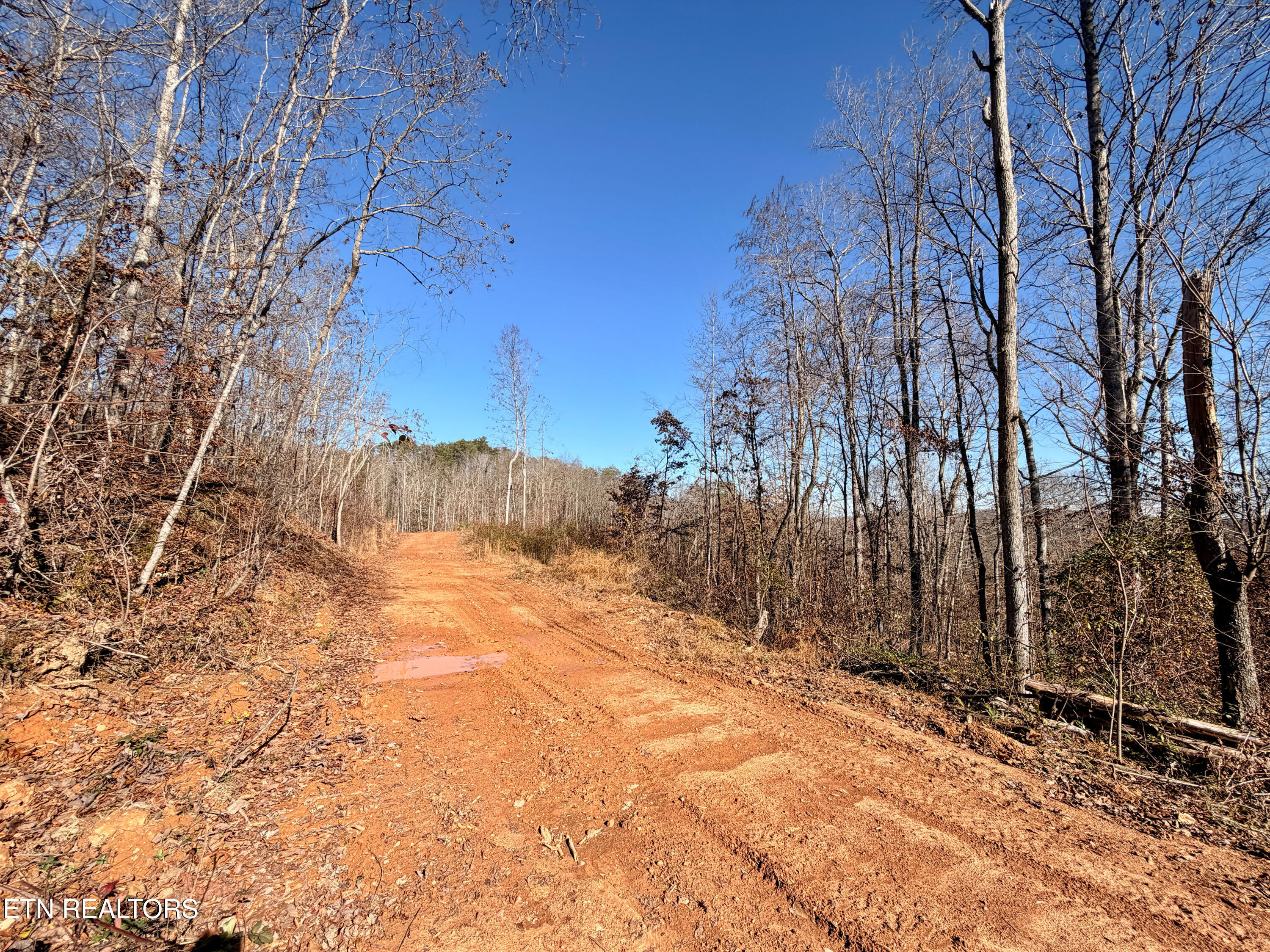 Laurel Bluff Road Kingston TN 37763