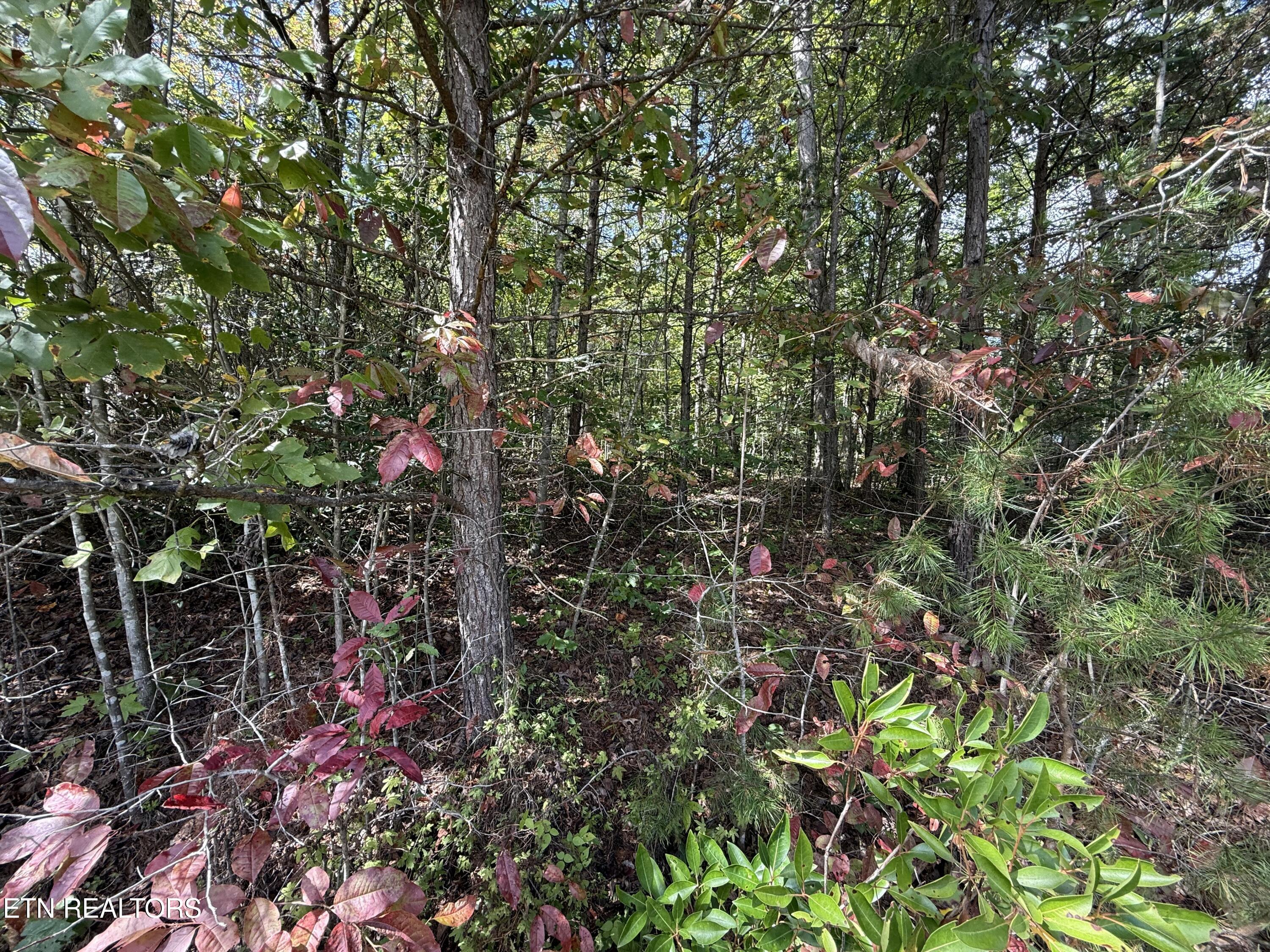 Northwood Place Jamestown TN 38556