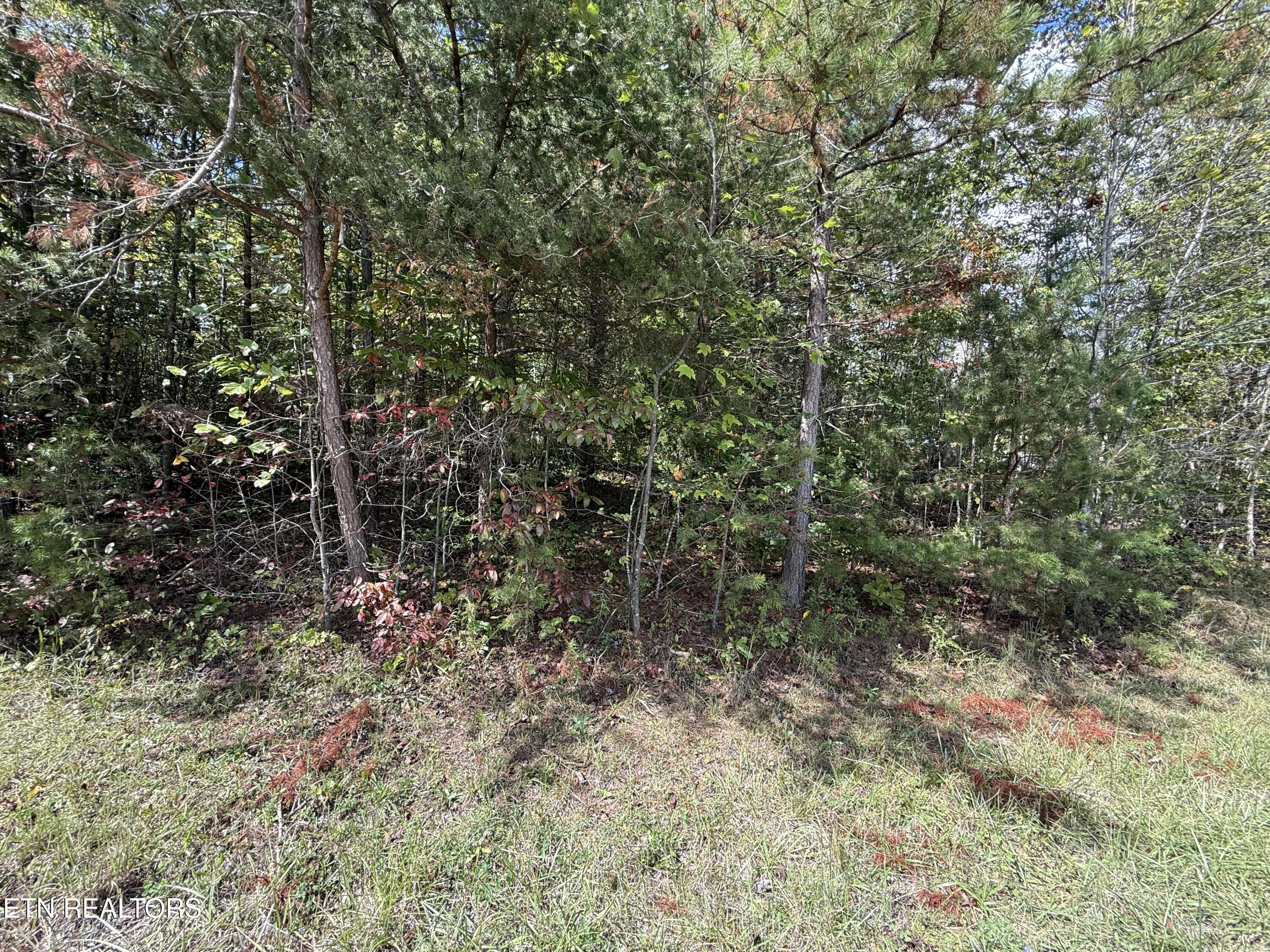 Northwood Place Jamestown TN 38556