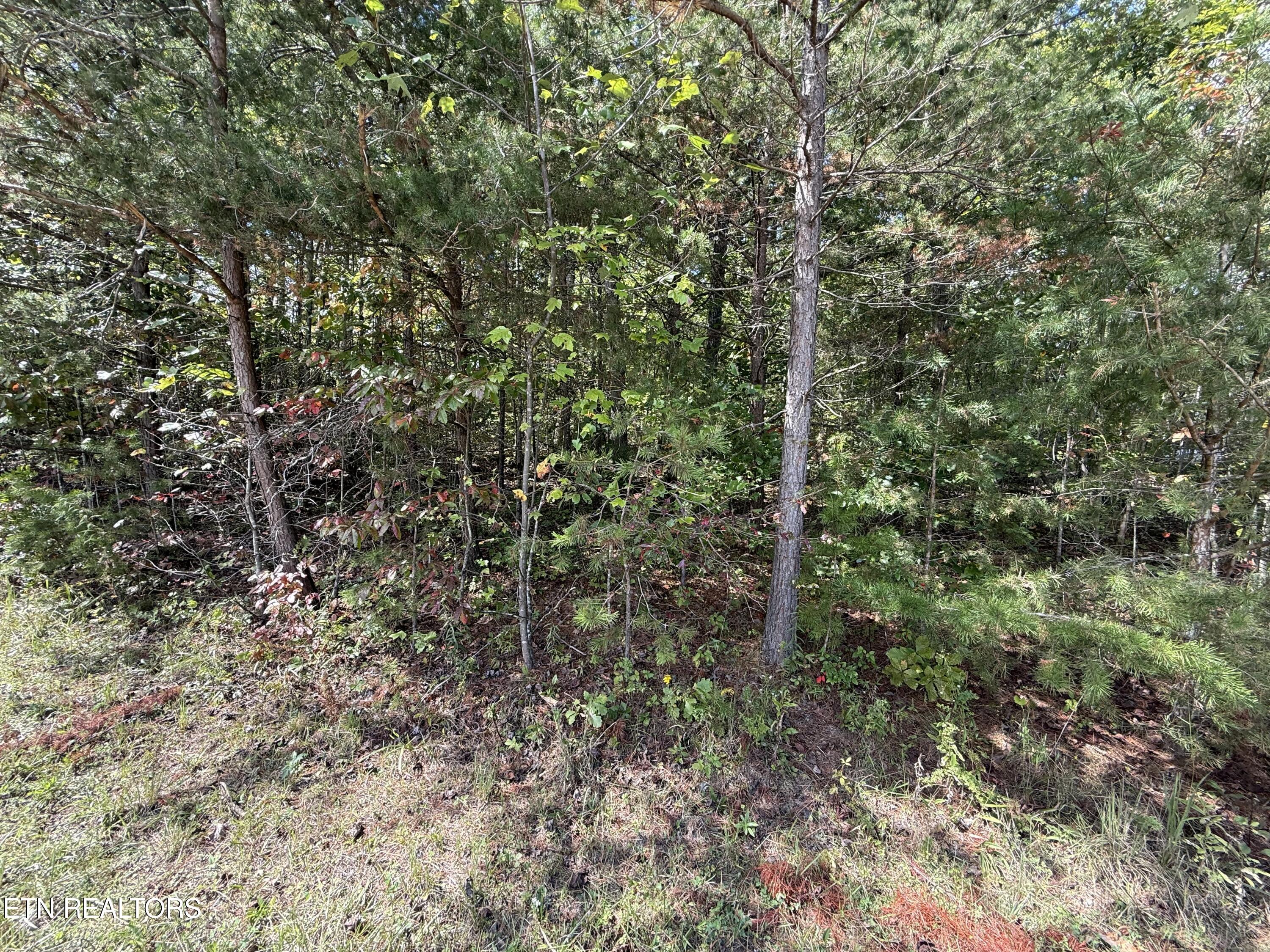 Northwood Place Jamestown TN 38556
