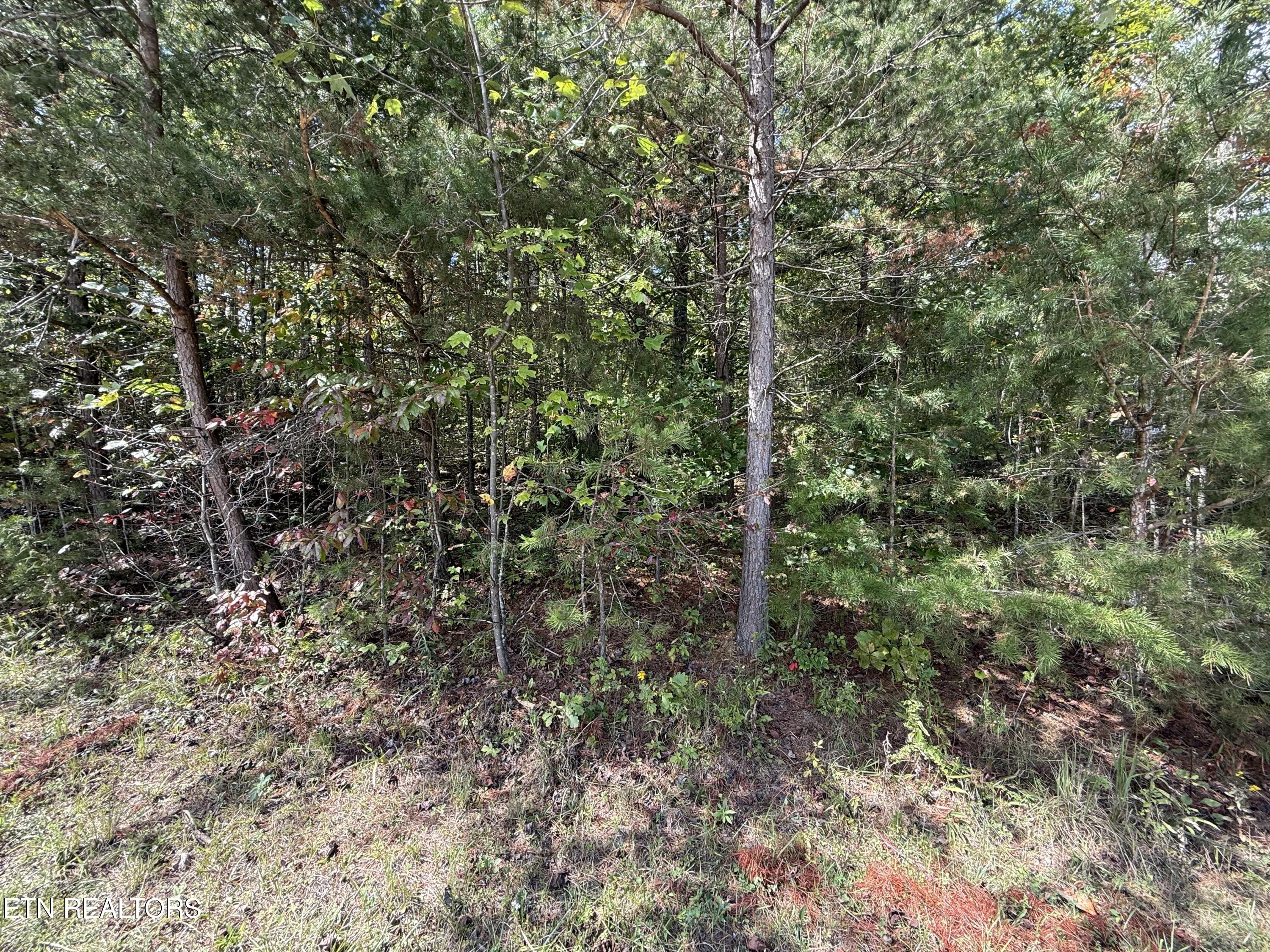 Northwood Place Jamestown TN 38556