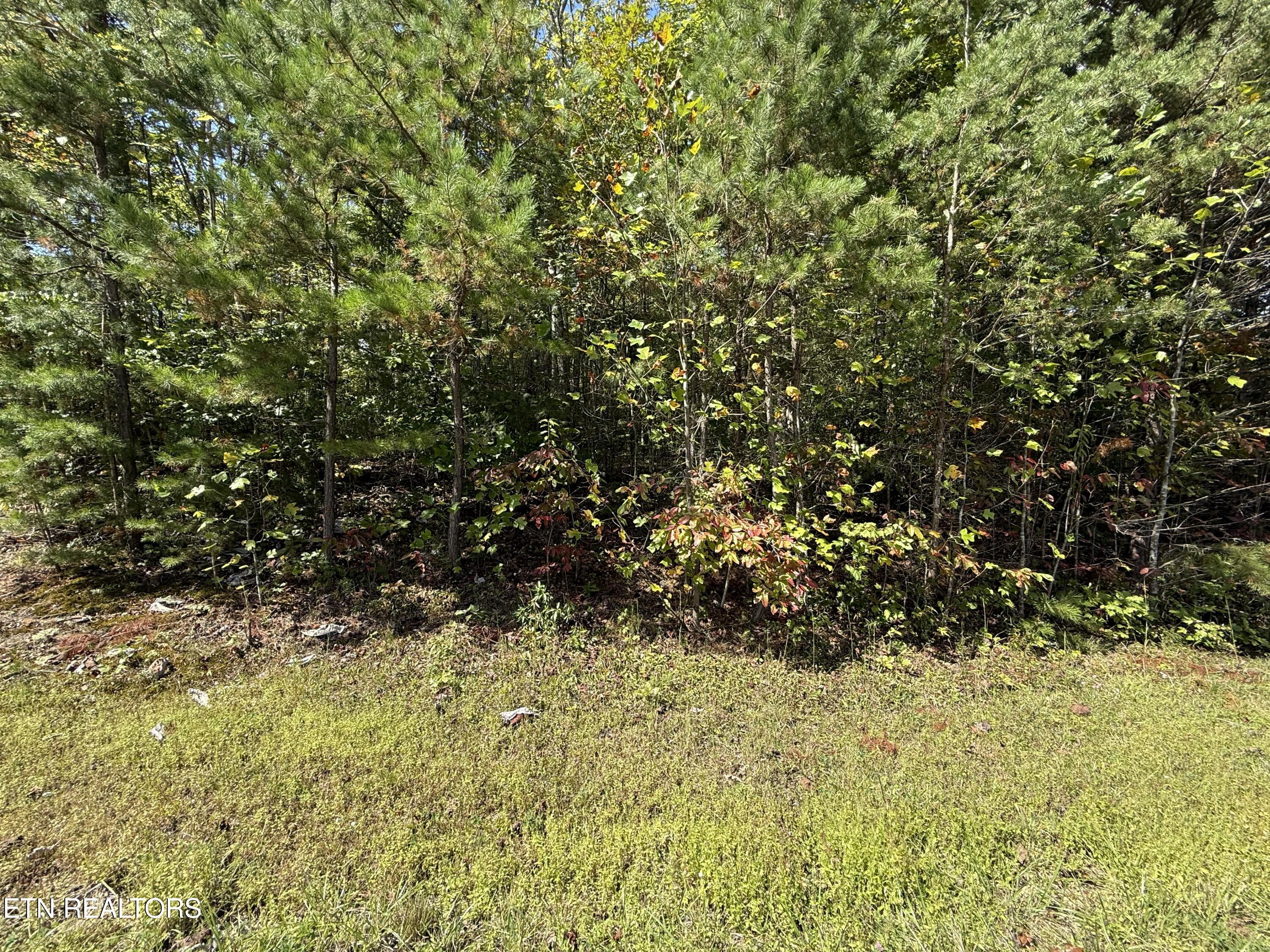 Northwood Place Jamestown TN 38556