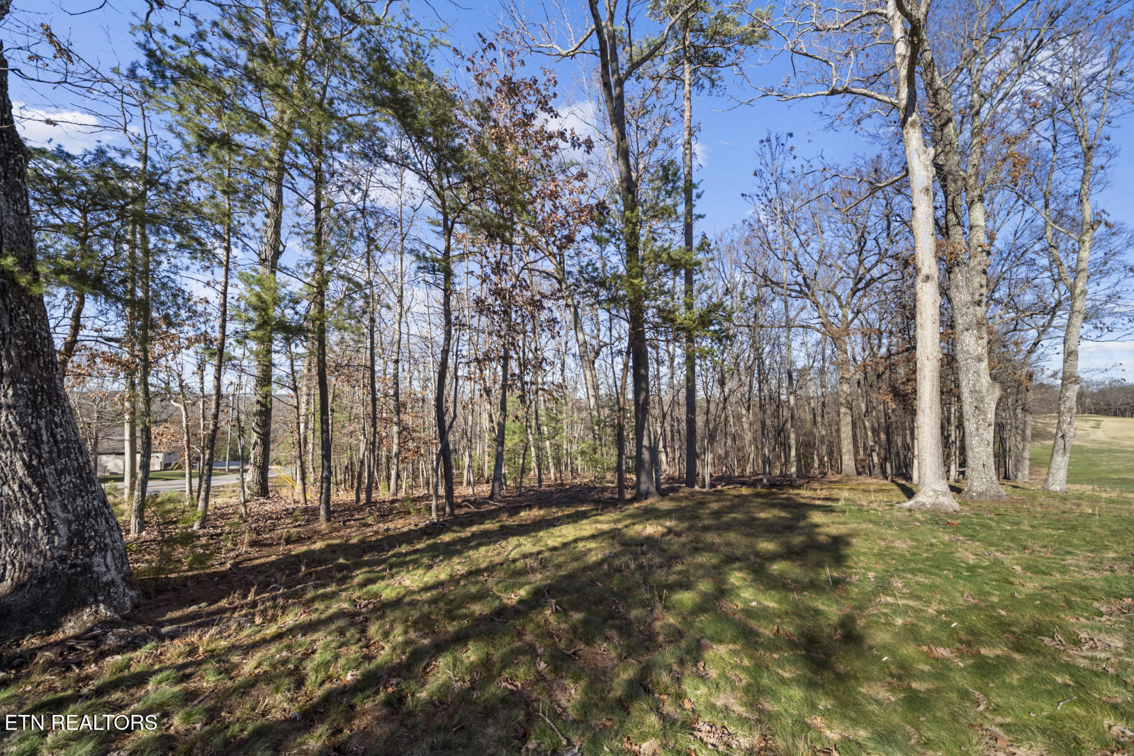 144 Valarian Drive Fairfield Glade TN 38558