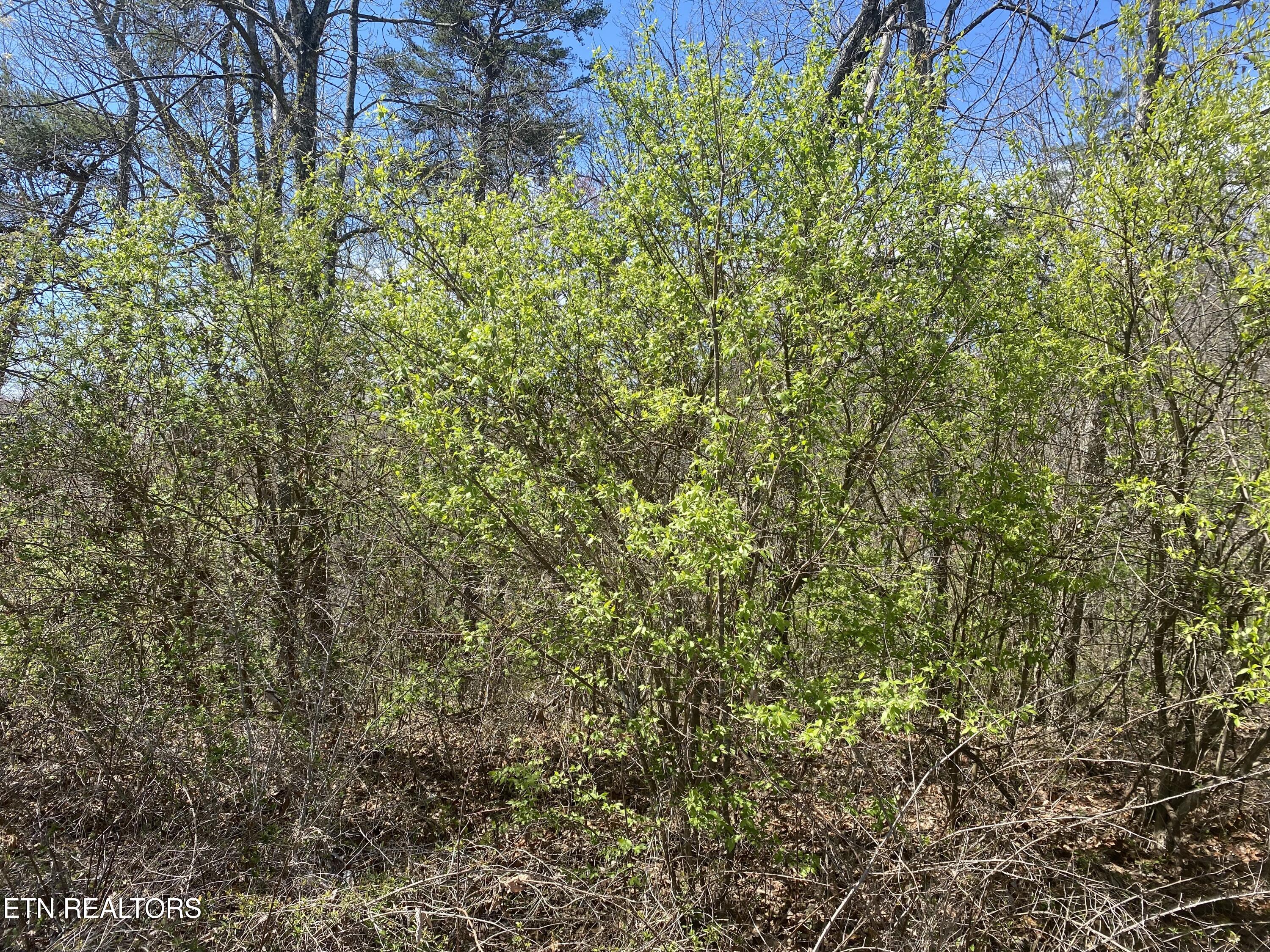 # 7 Highway 127 North Crossville TN 38555