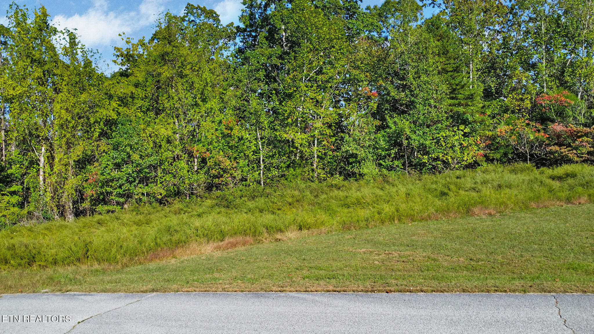 Lot 34-b Crystal Springs Road Rockwood TN 37854