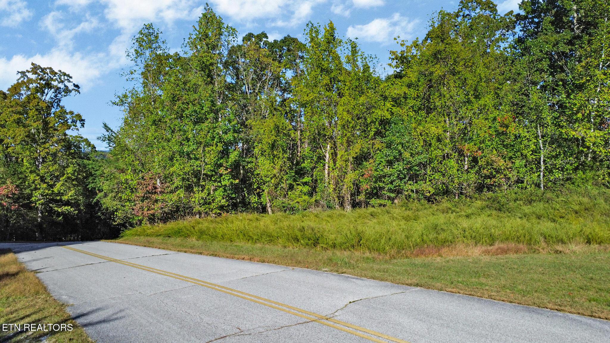 Lot 34-b Crystal Springs Road Rockwood TN 37854