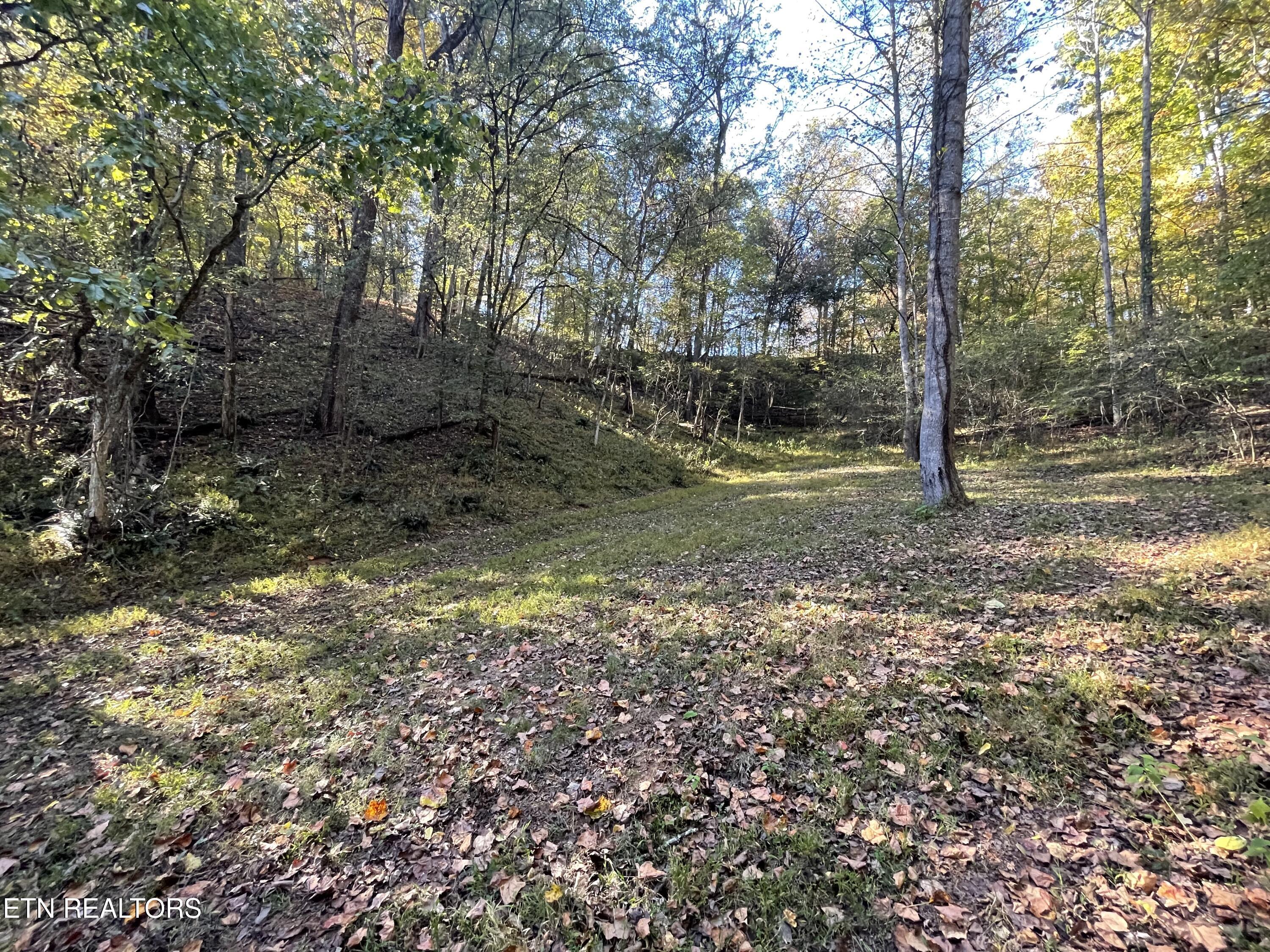 100 French Road Knoxville TN 37920