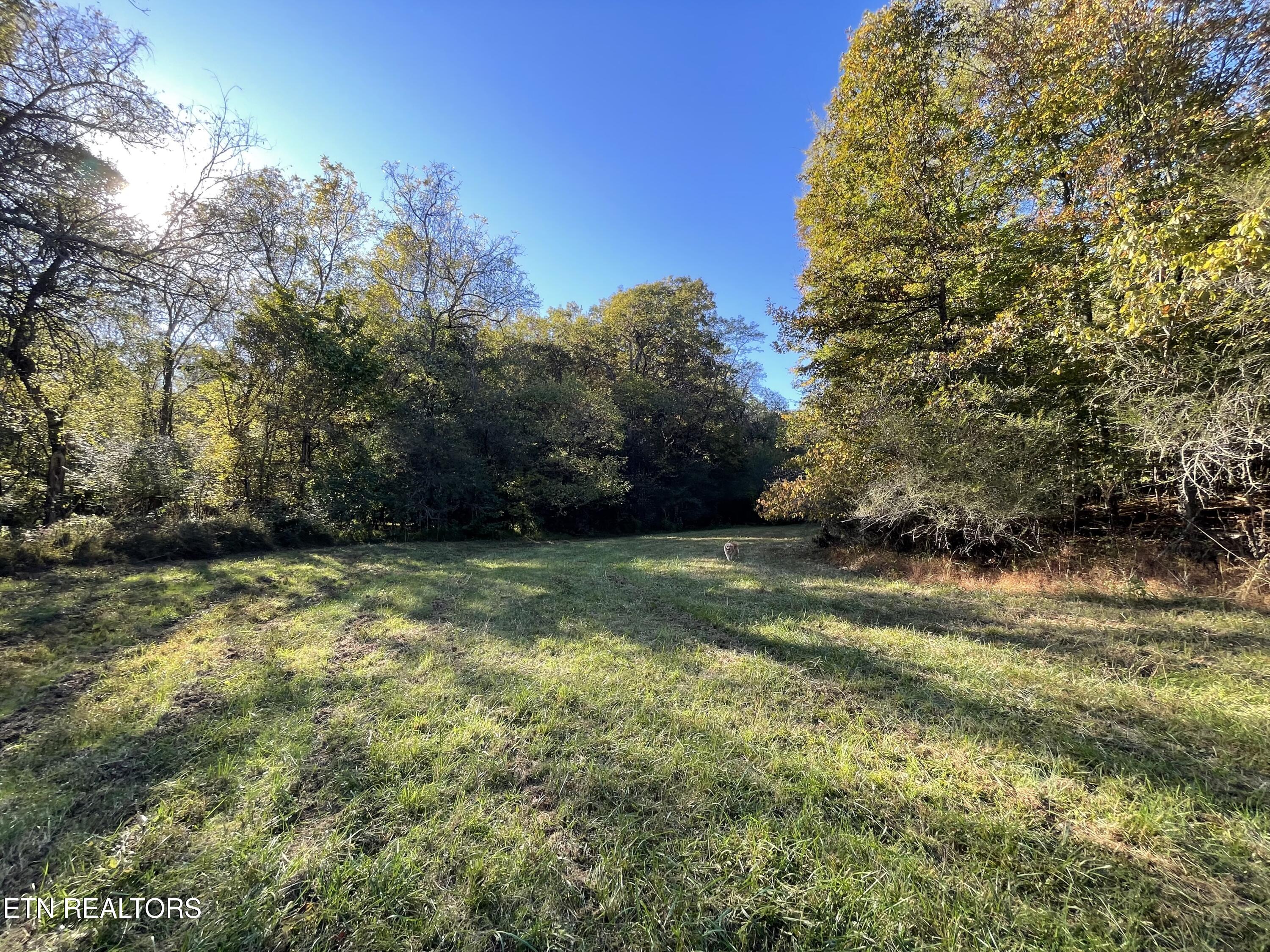 100 French Road Knoxville TN 37920