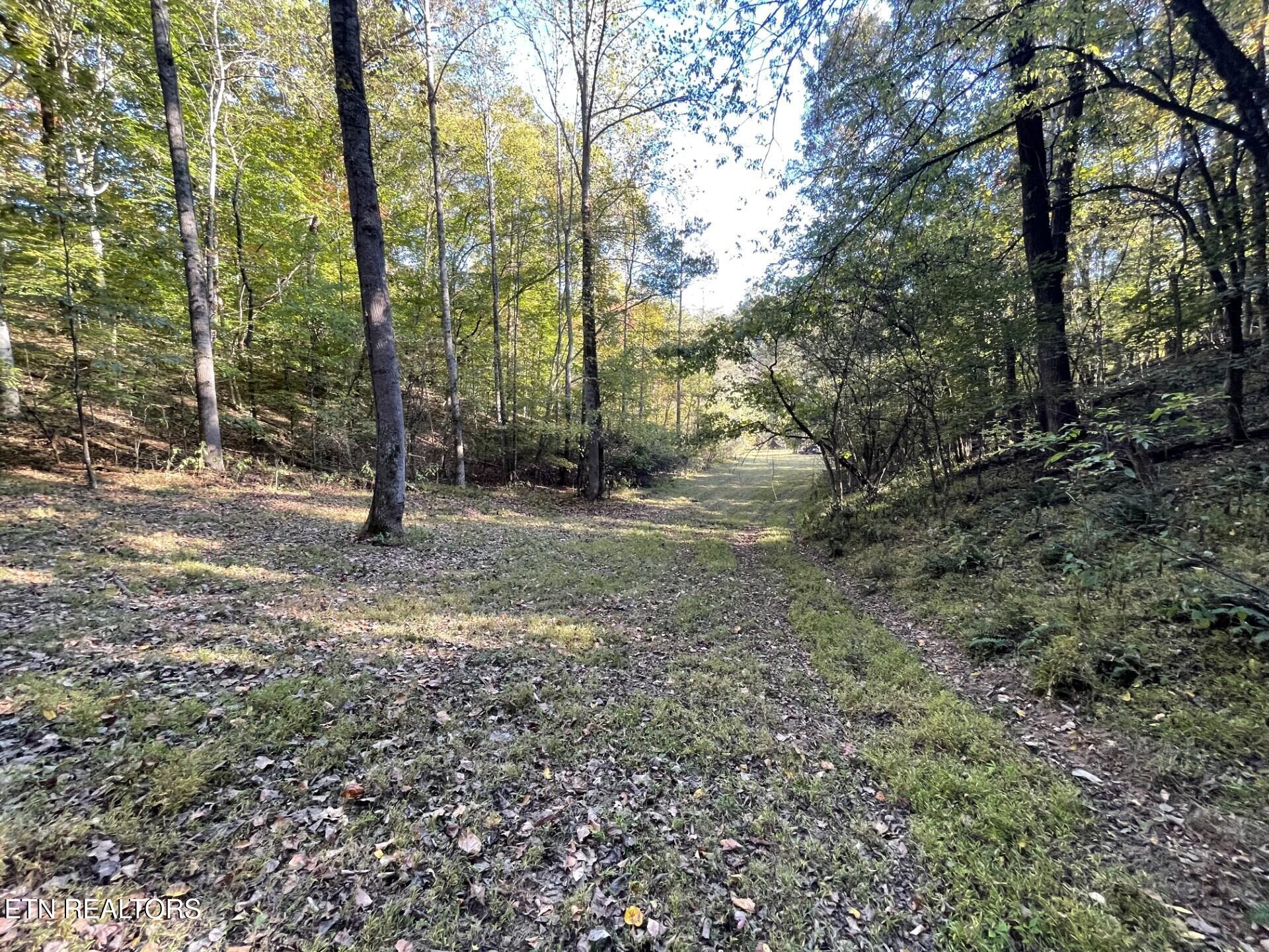 100 French Road Knoxville TN 37920