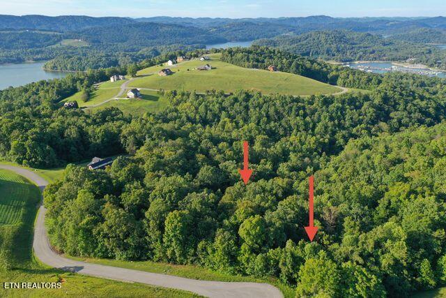 Mica Court Lot #160 New Tazewell TN 37825