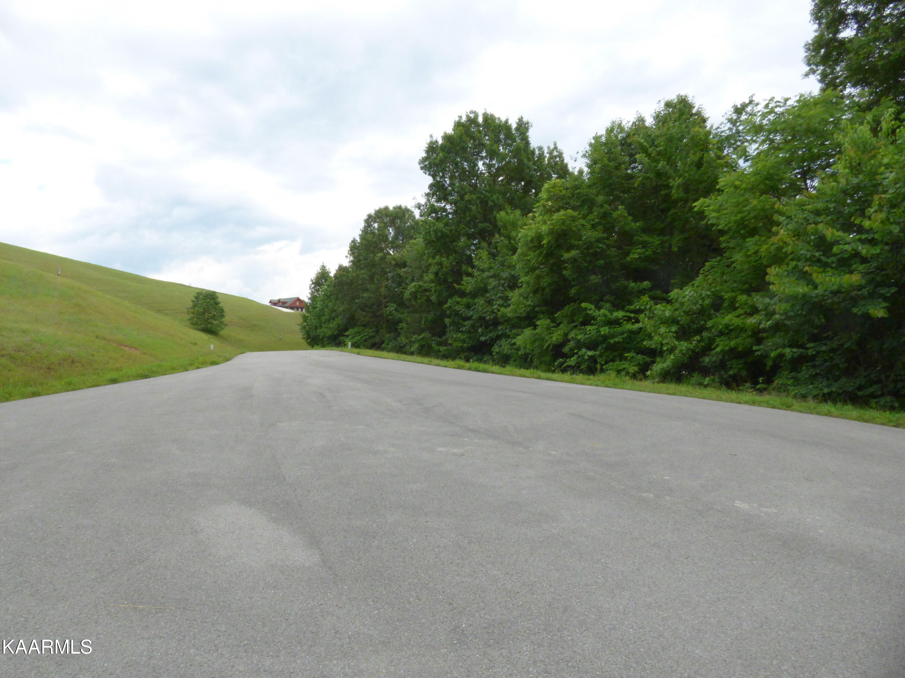 Mica Court Lot #160 New Tazewell TN 37825