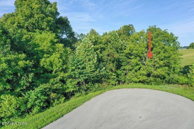 Mica Court Lot #160 New Tazewell TN 37825