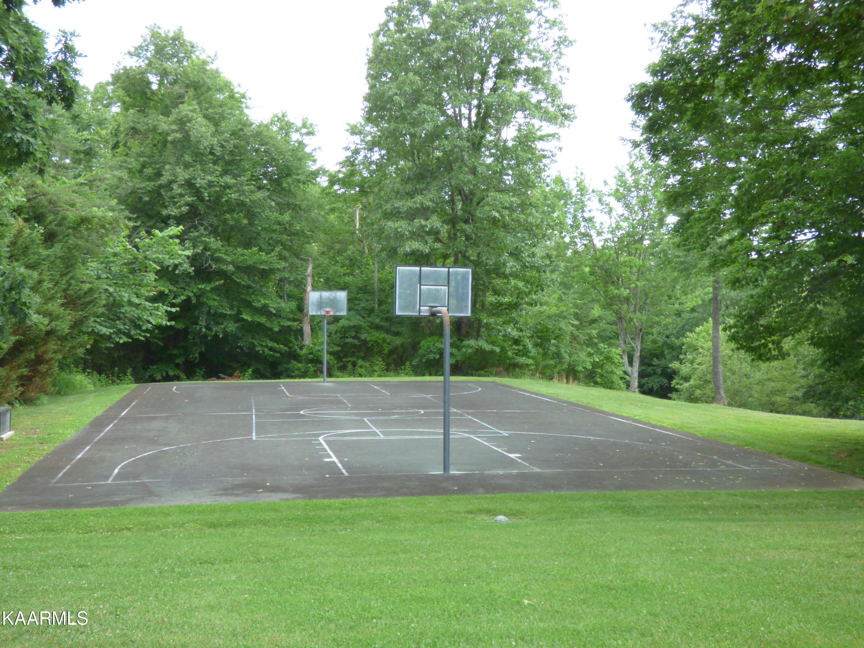 Mica Court Lot #160 New Tazewell TN 37825