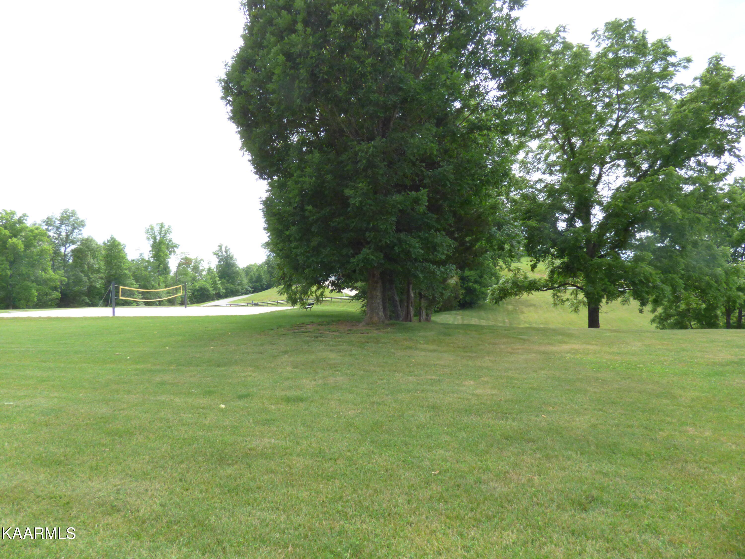 Mica Court Lot #160 New Tazewell TN 37825