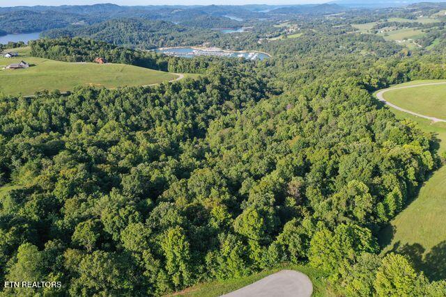 Mica Court Lot #160 New Tazewell TN 37825