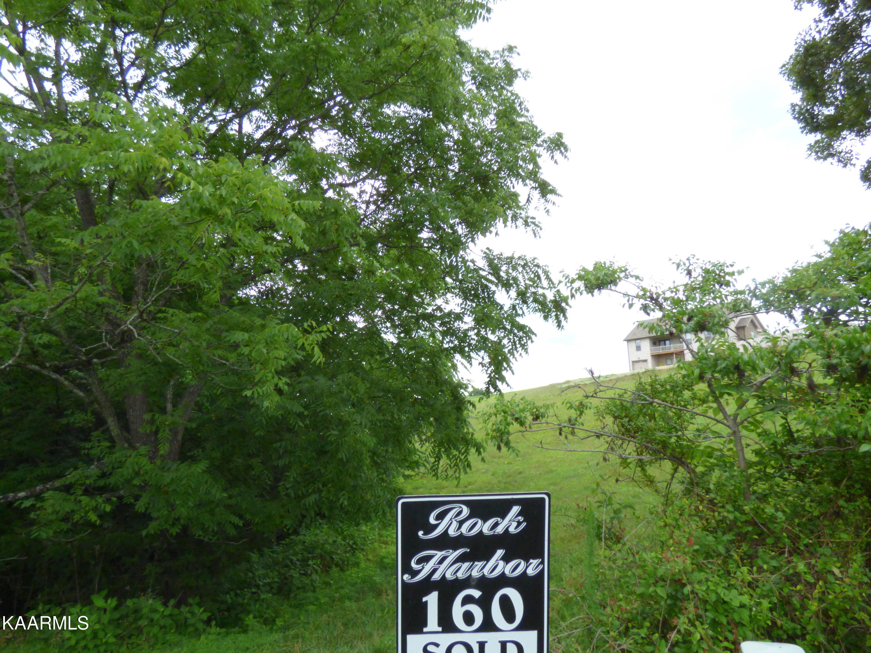 Mica Court Lot #160 New Tazewell TN 37825