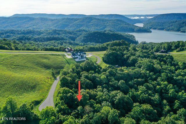 Mica Court Lot #160 New Tazewell TN 37825