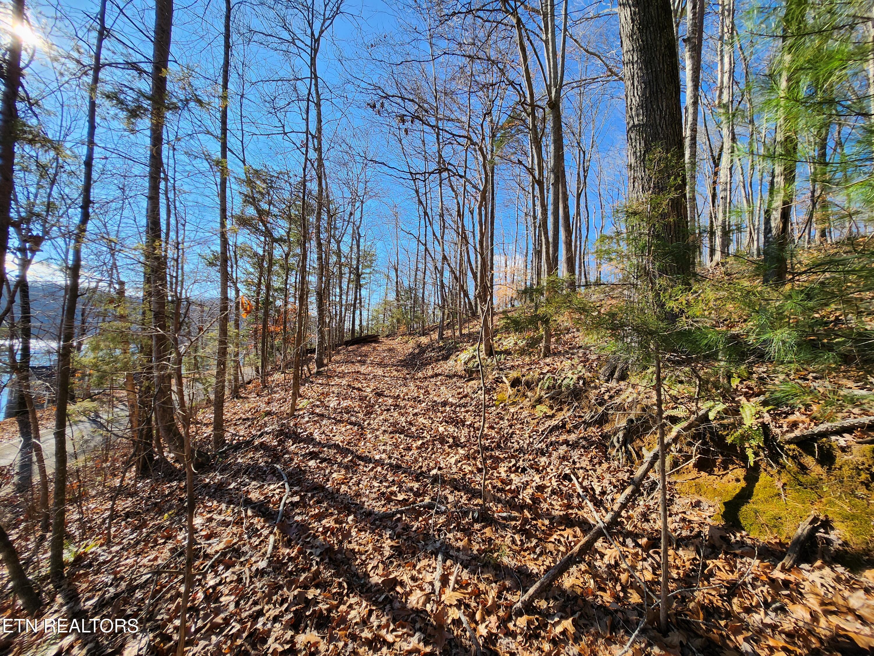 Cove Pointe Road Lafollette TN 37766