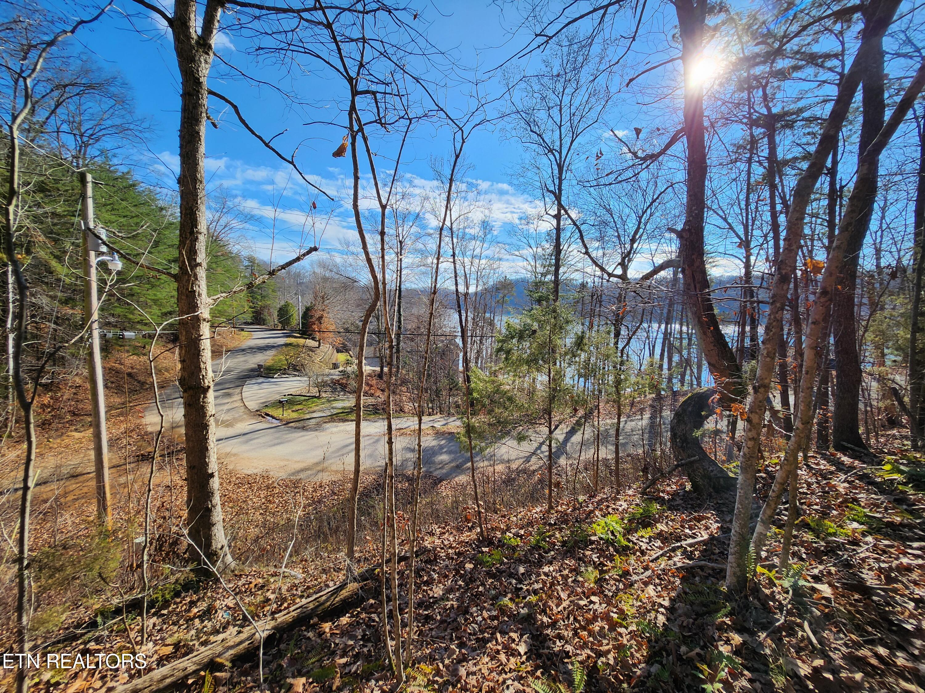 Cove Pointe Road Lafollette TN 37766