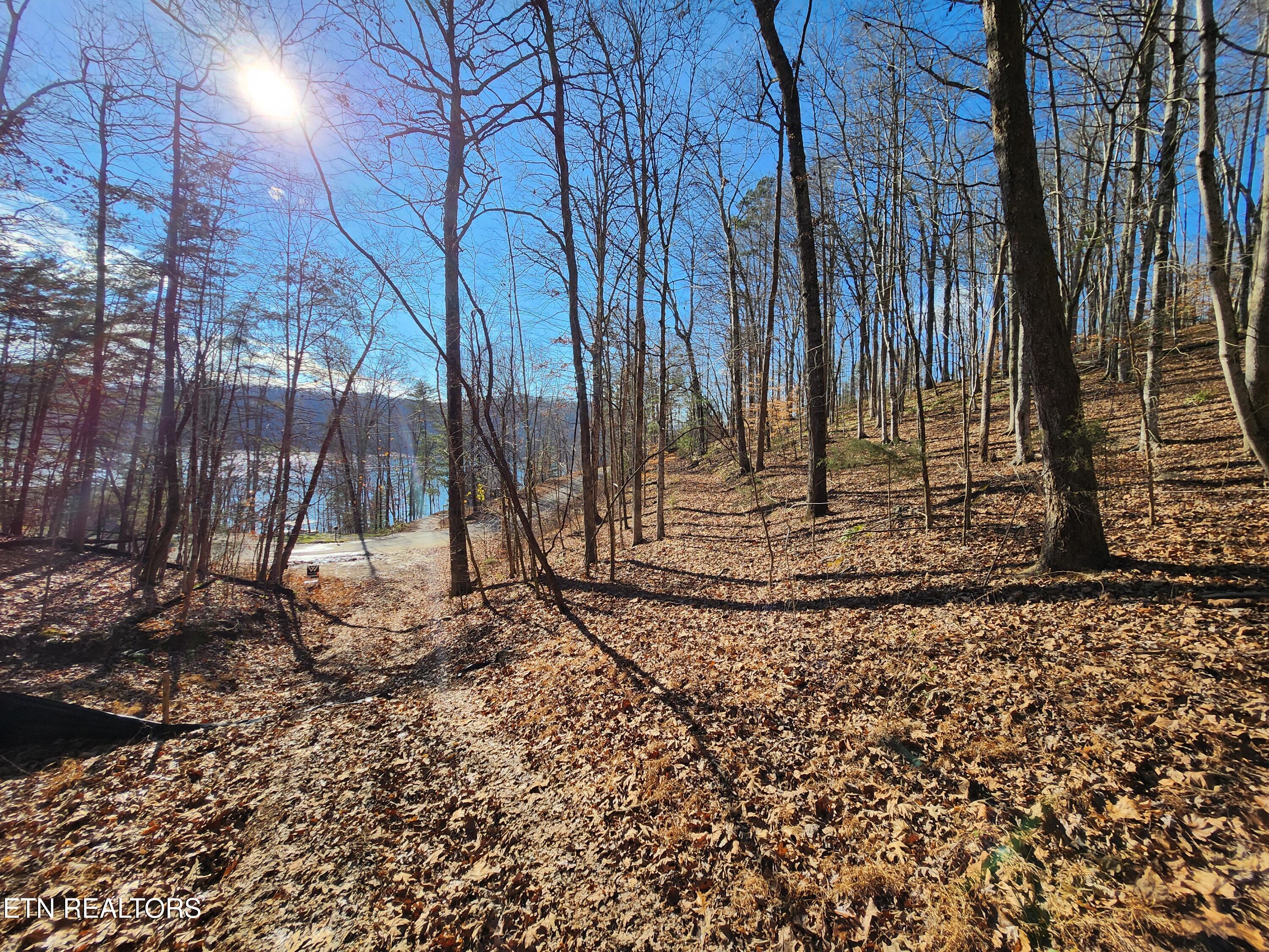 Cove Pointe Road Lafollette TN 37766