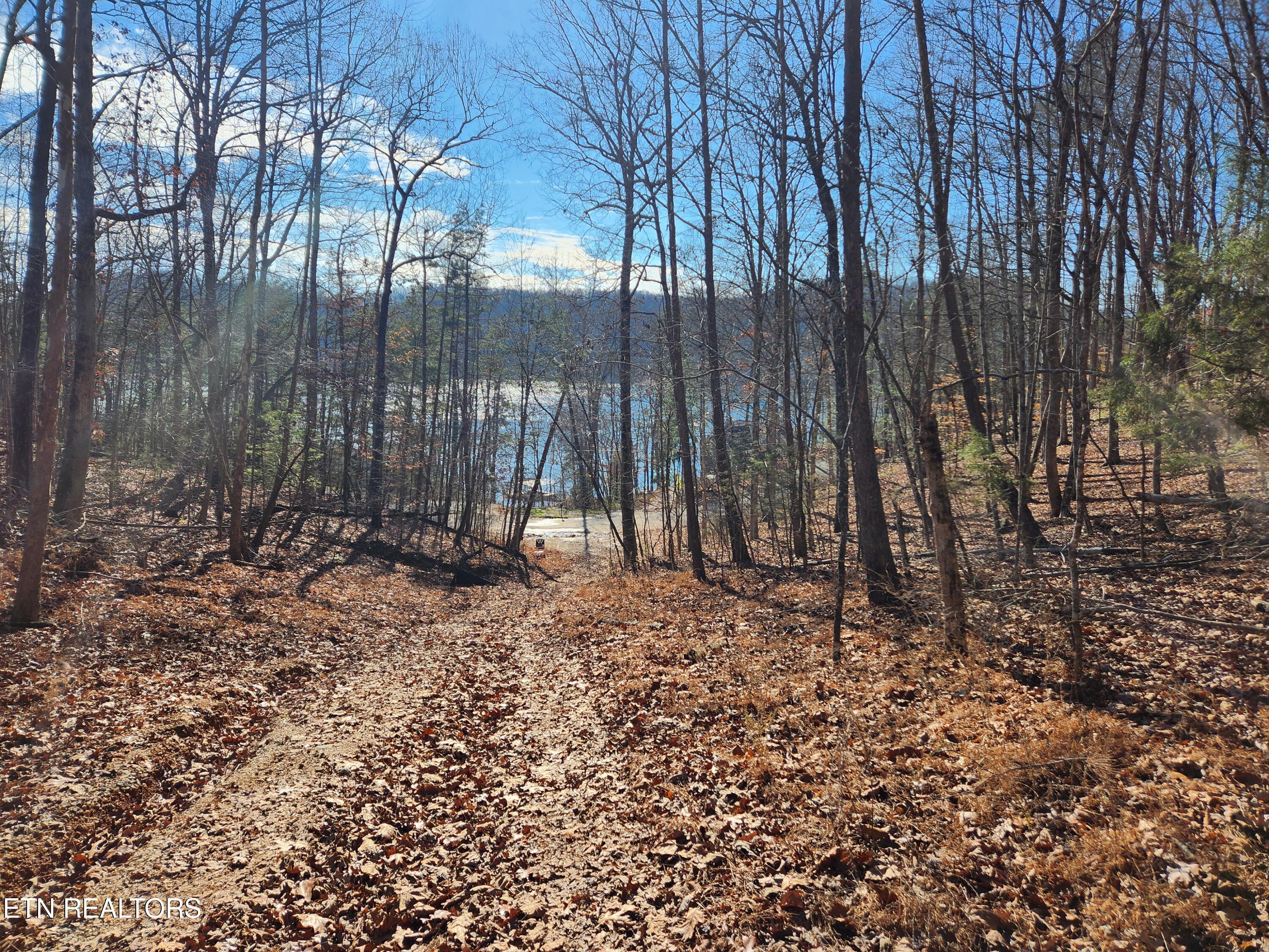 Cove Pointe Road Lafollette TN 37766